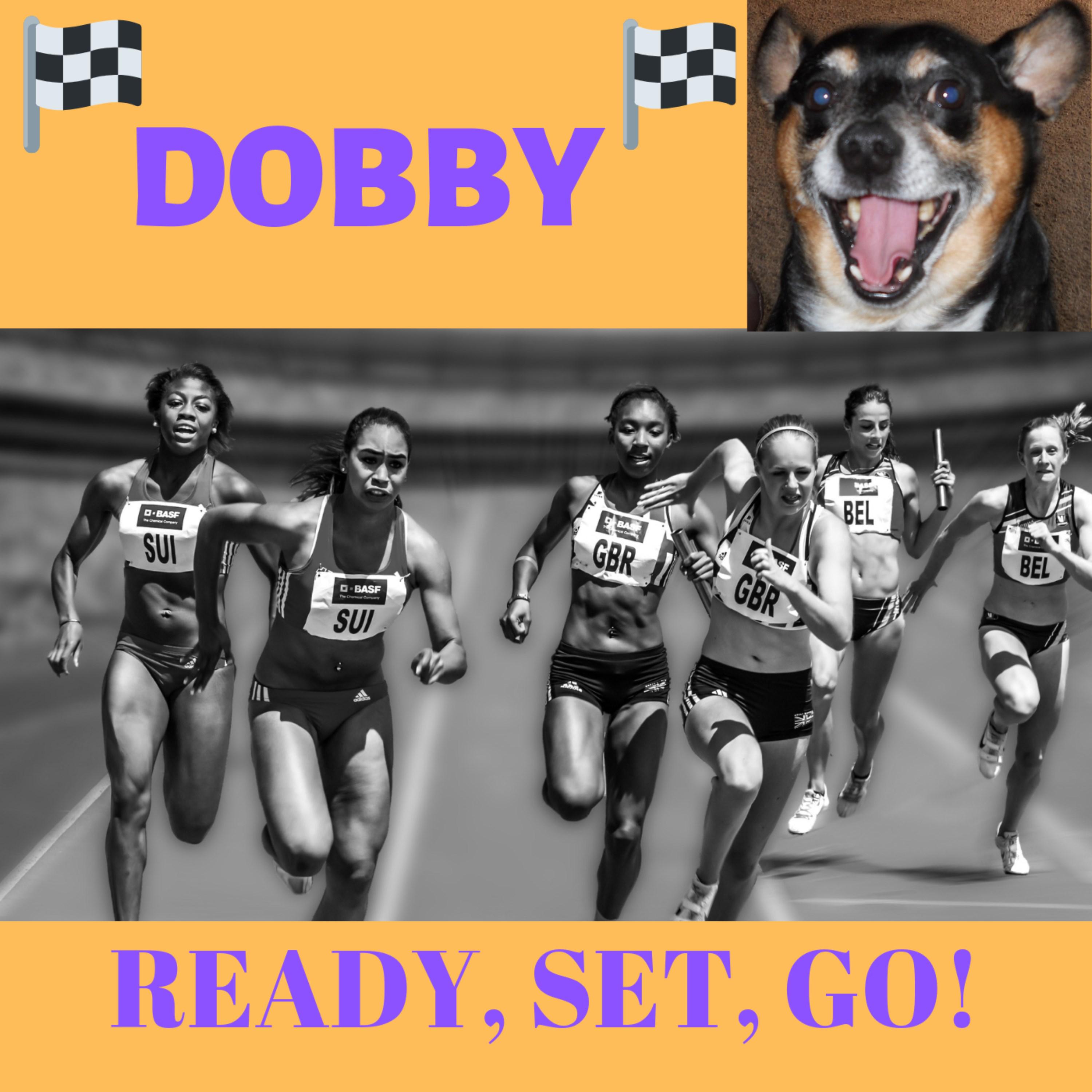 Dobby - Ready, Set, Go!