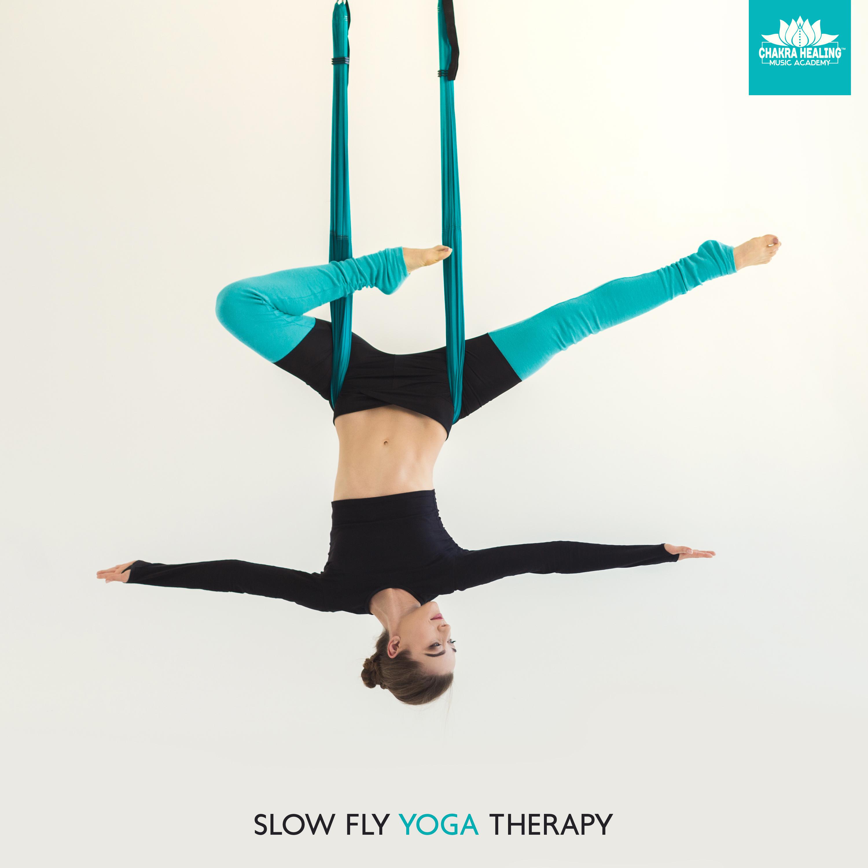 Slow Fly Yoga Therapy (Culmination of Pleasure)