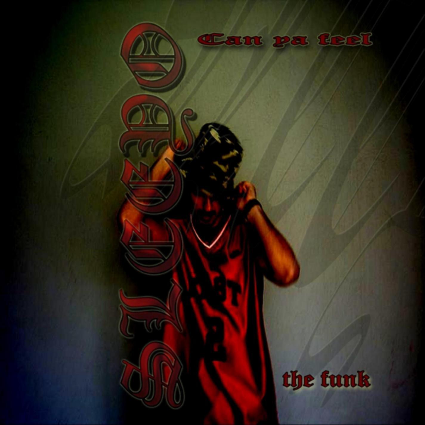 Can Ya Feel the Funk (single edit)