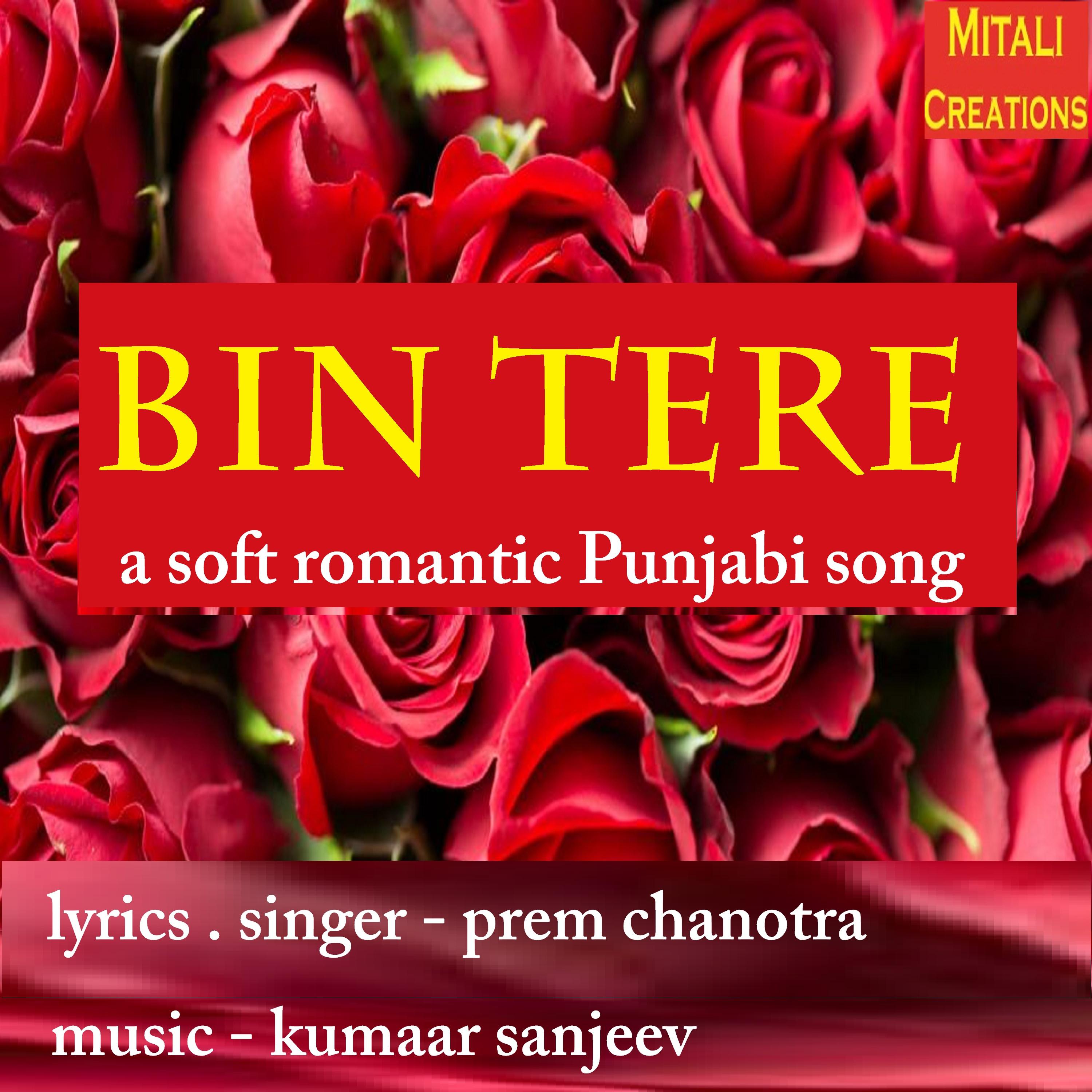 Bin Tere