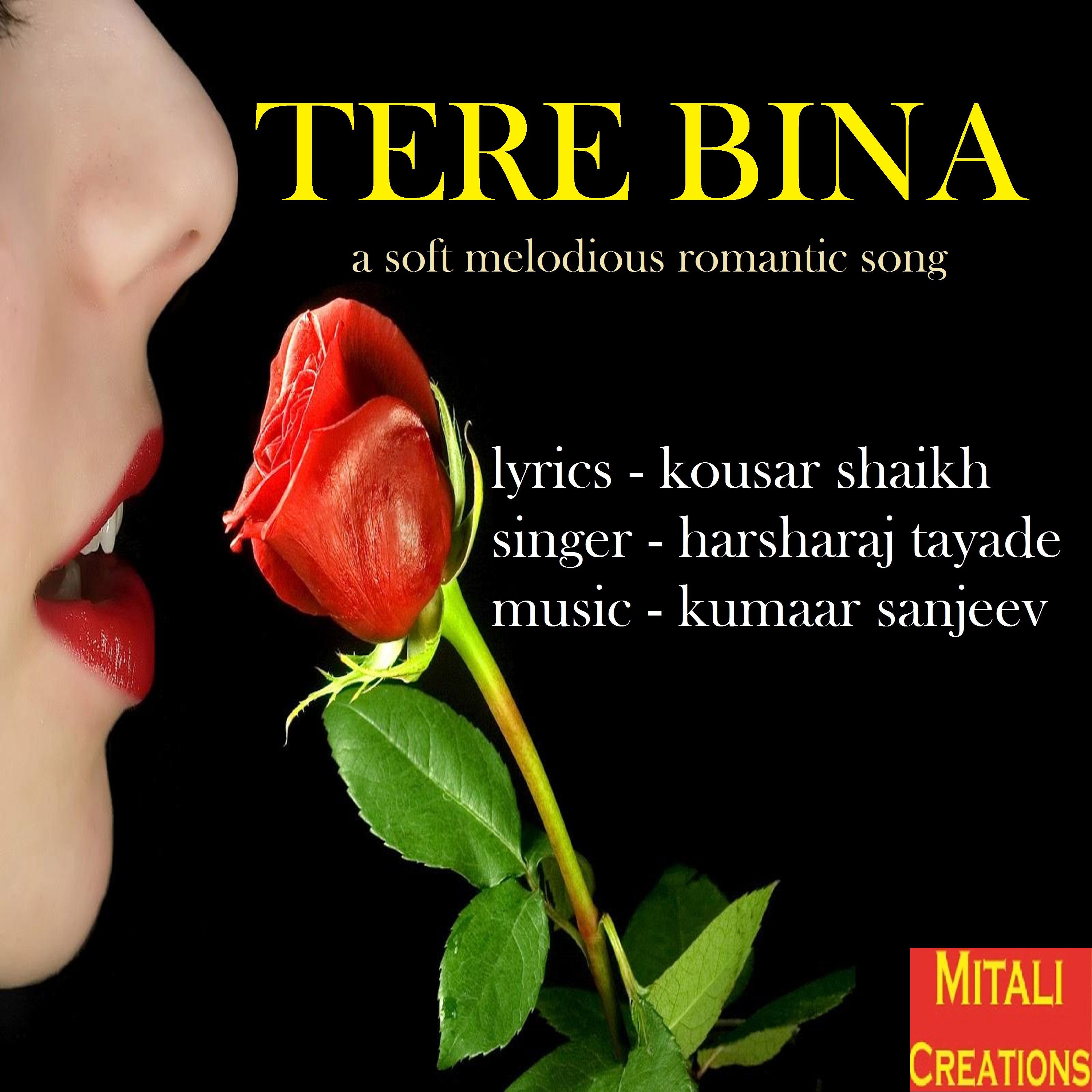 Tere Bina