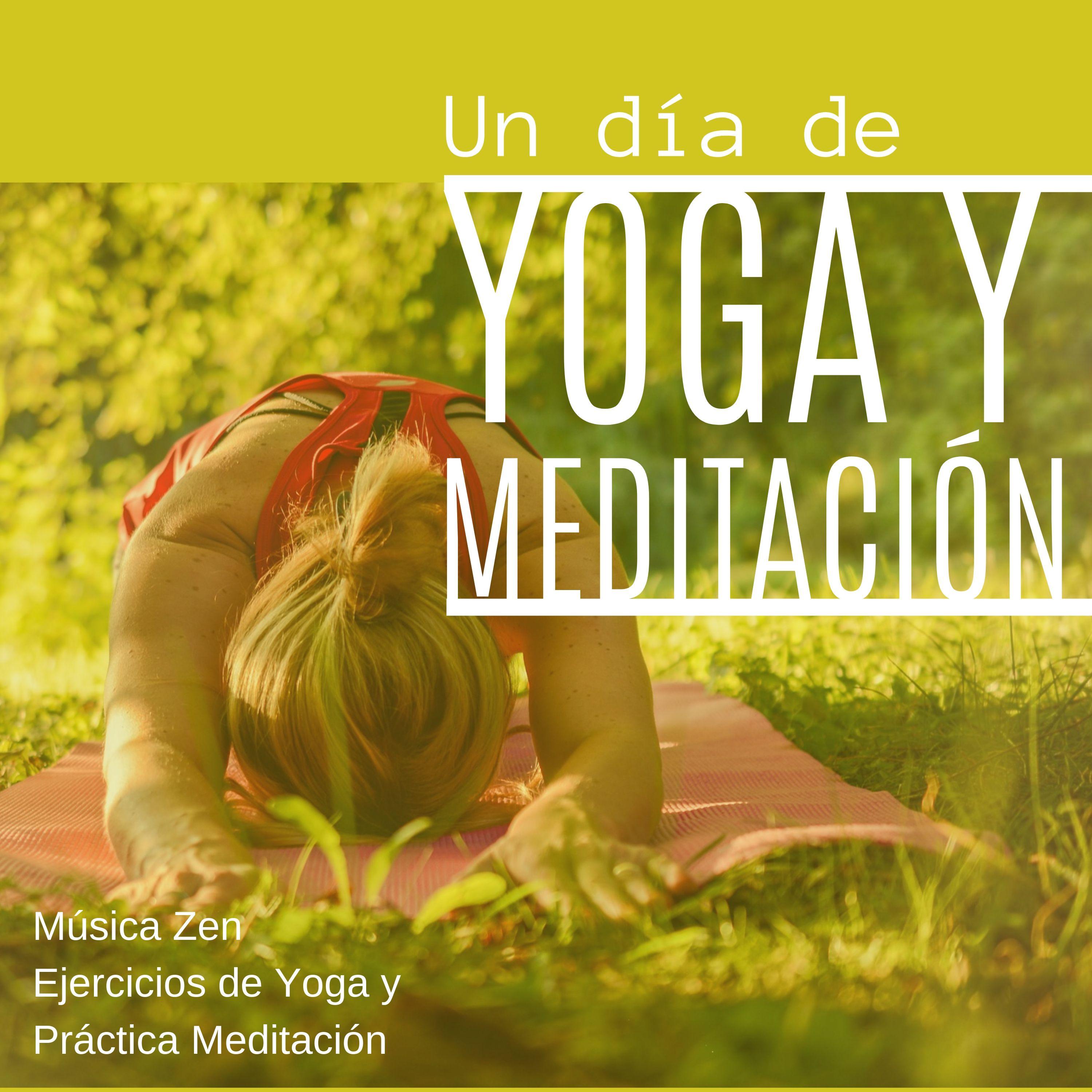 Un Di a de Yoga y Meditacio n  Mu sica Zen Ejercicios de Yoga y Pra ctica Meditacio n