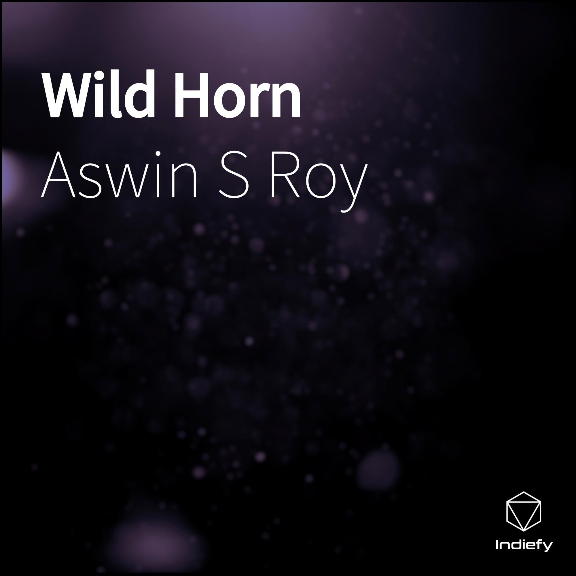 Wild Horn