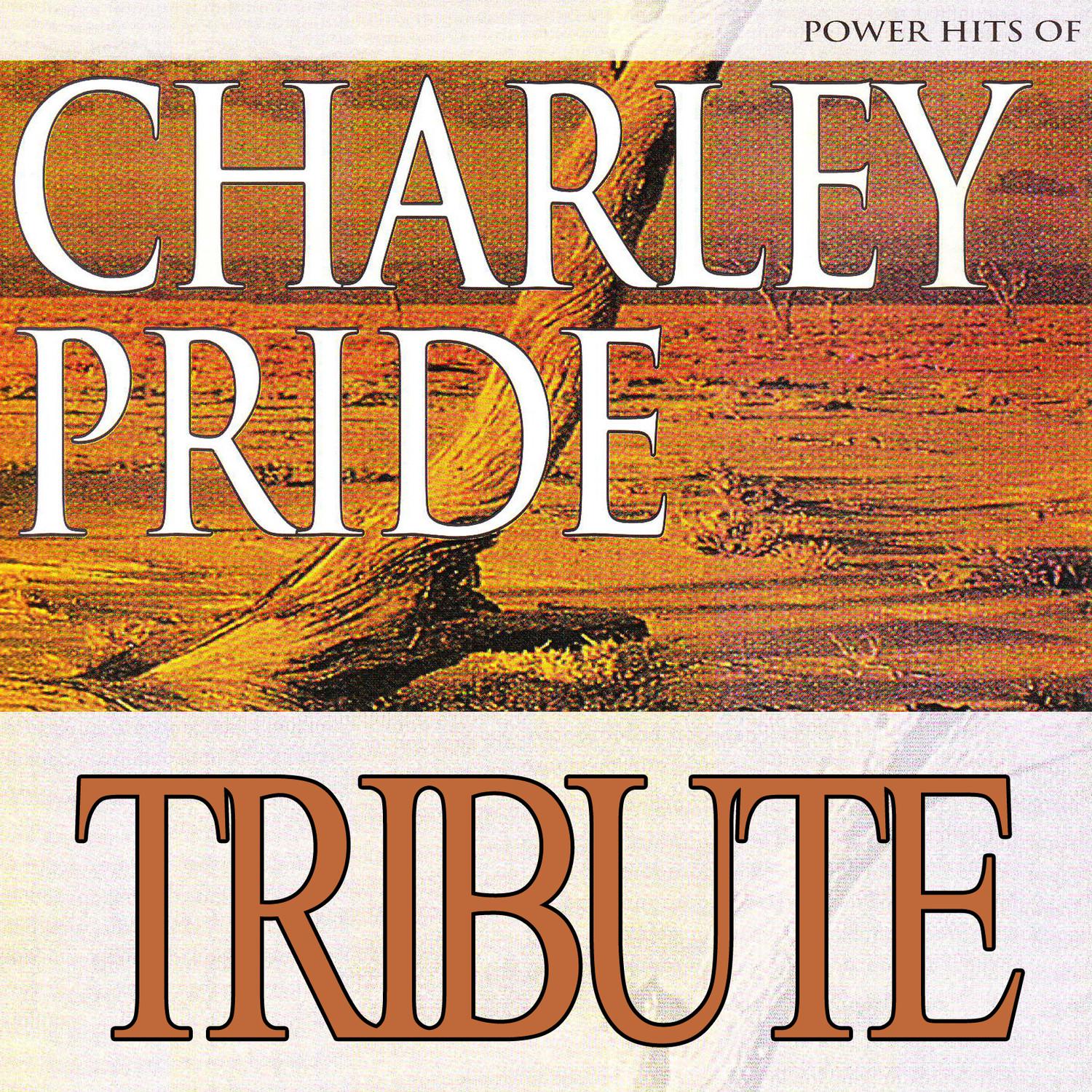 Dubble Trubble Tribute to Charley Pride - Power Hits