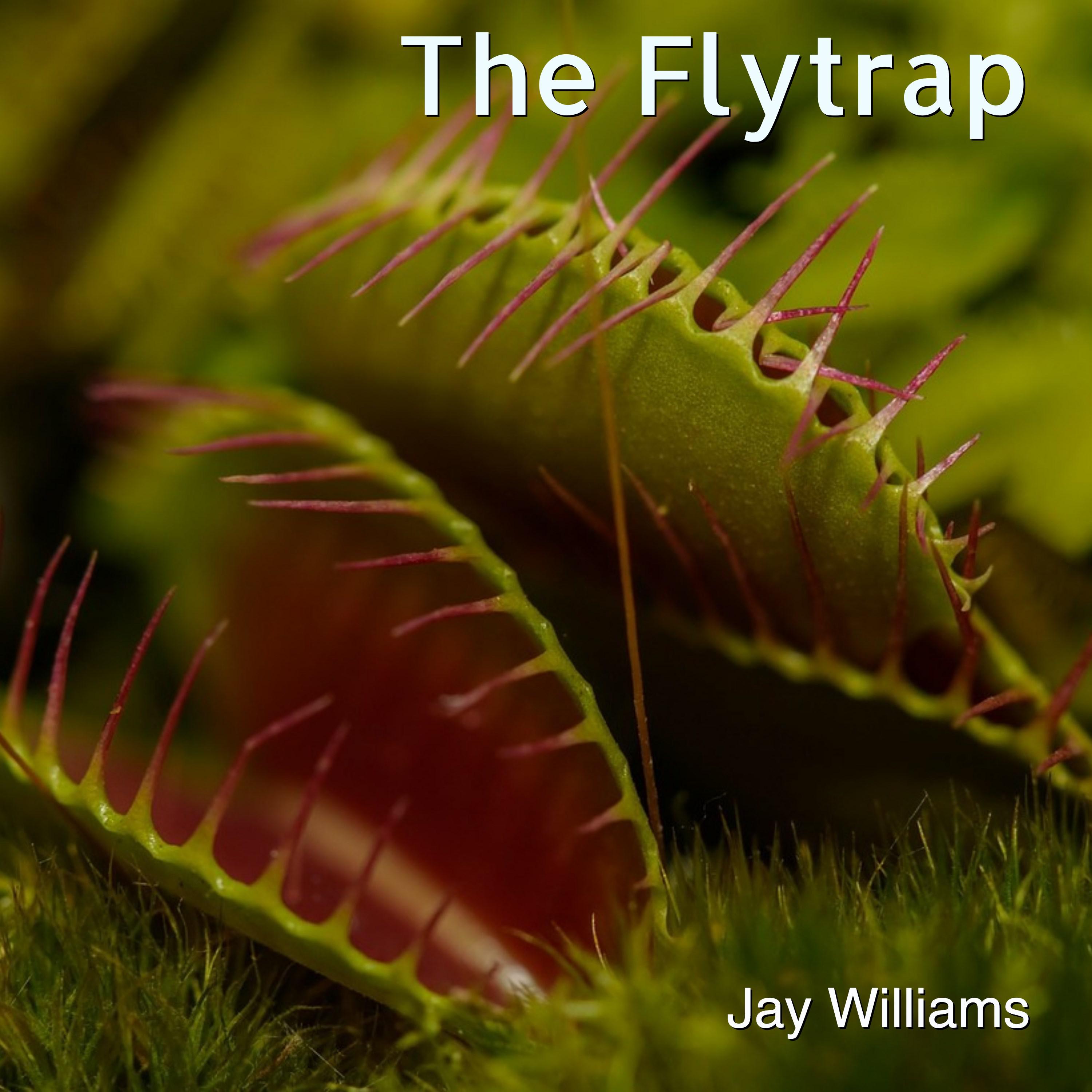 The Flytrap