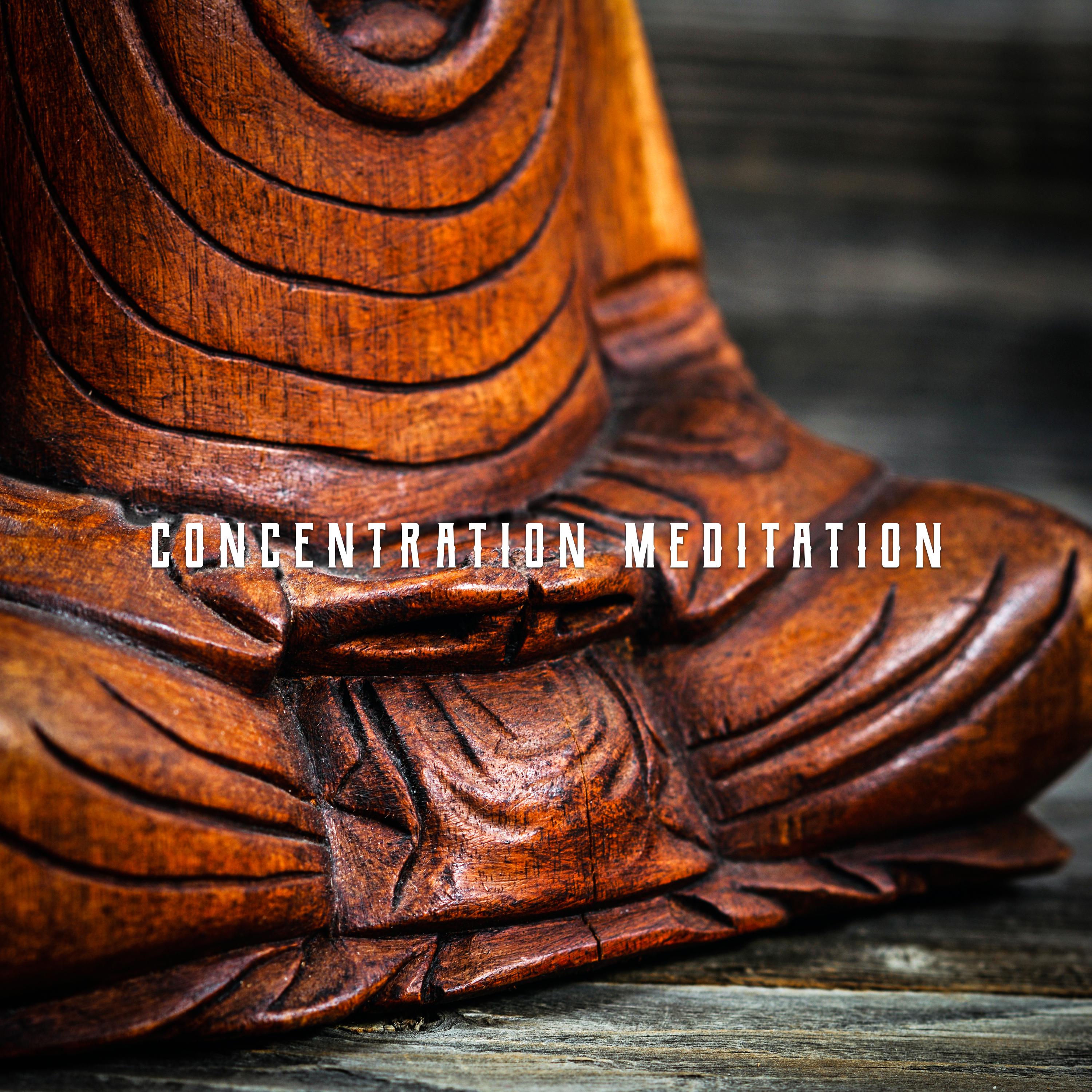 Concentration Meditation (Refocus Your Awareness, Improve Ability to Concentrate)