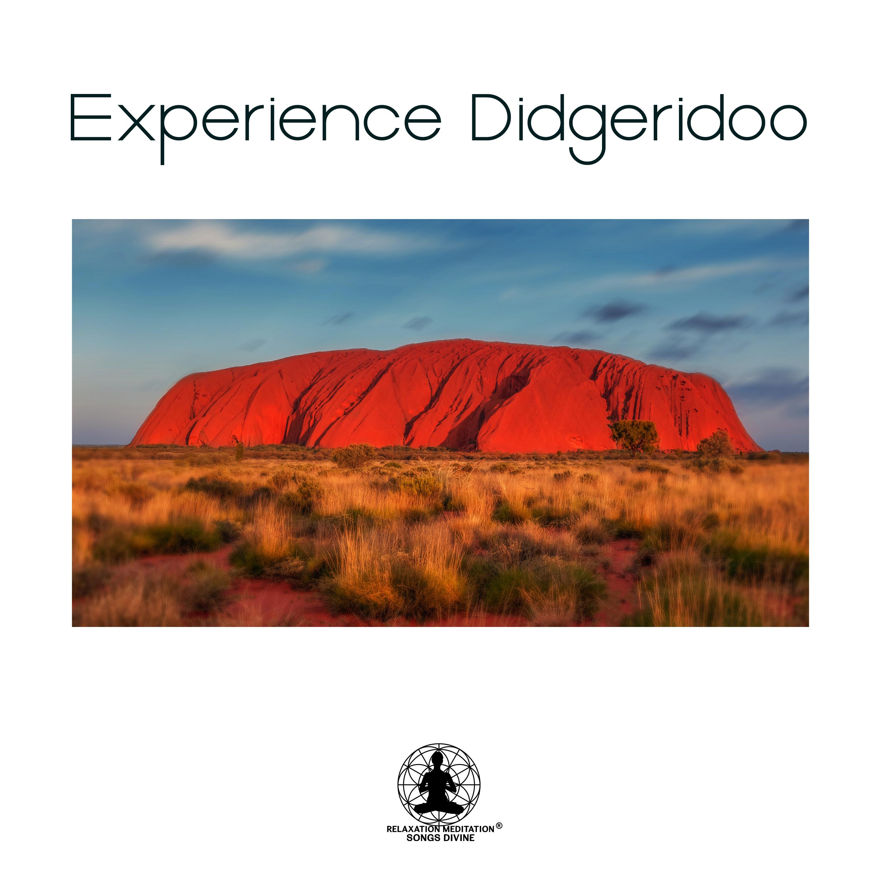 Experience Didgeridoo