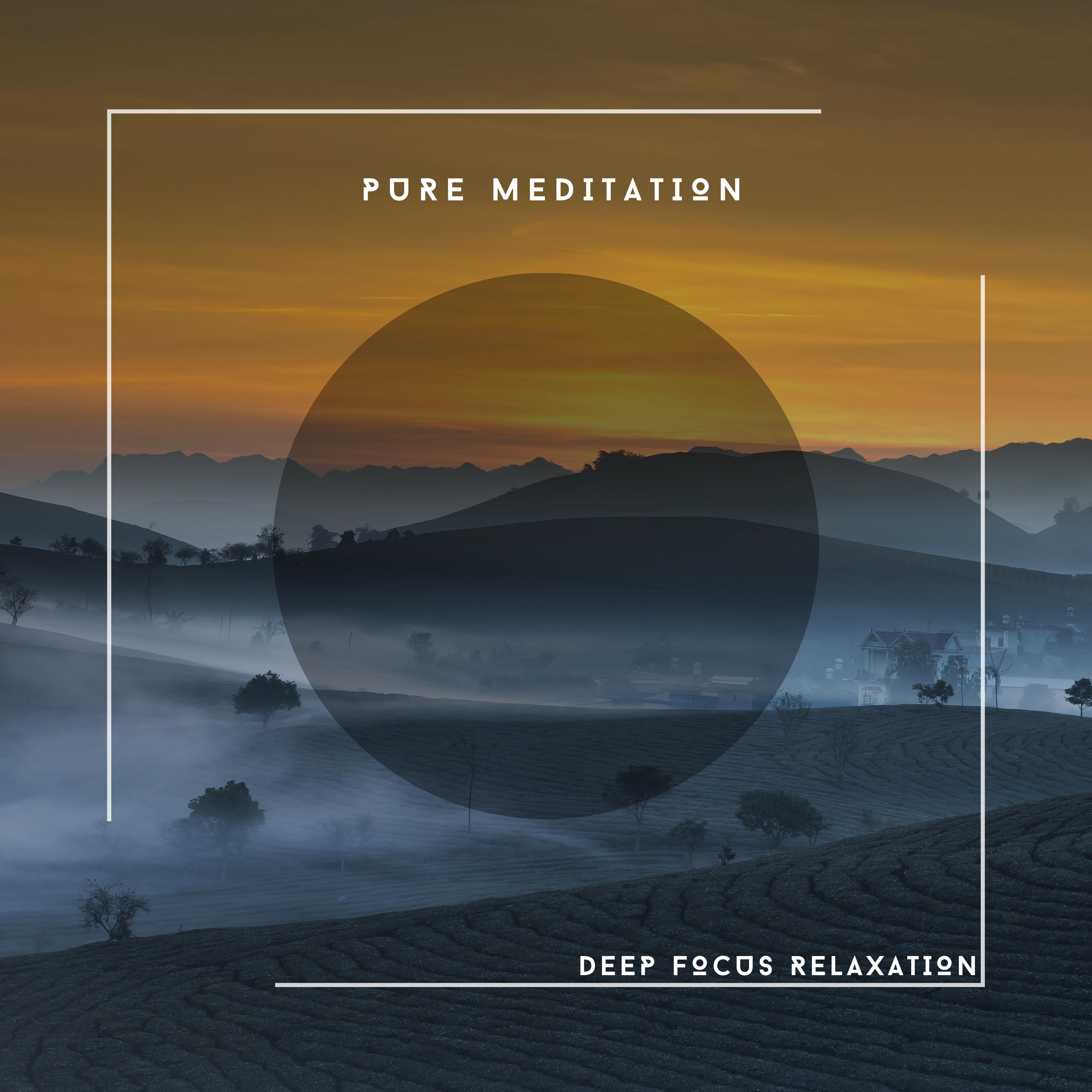 Pure Meditation - Deep Focus Relaxation