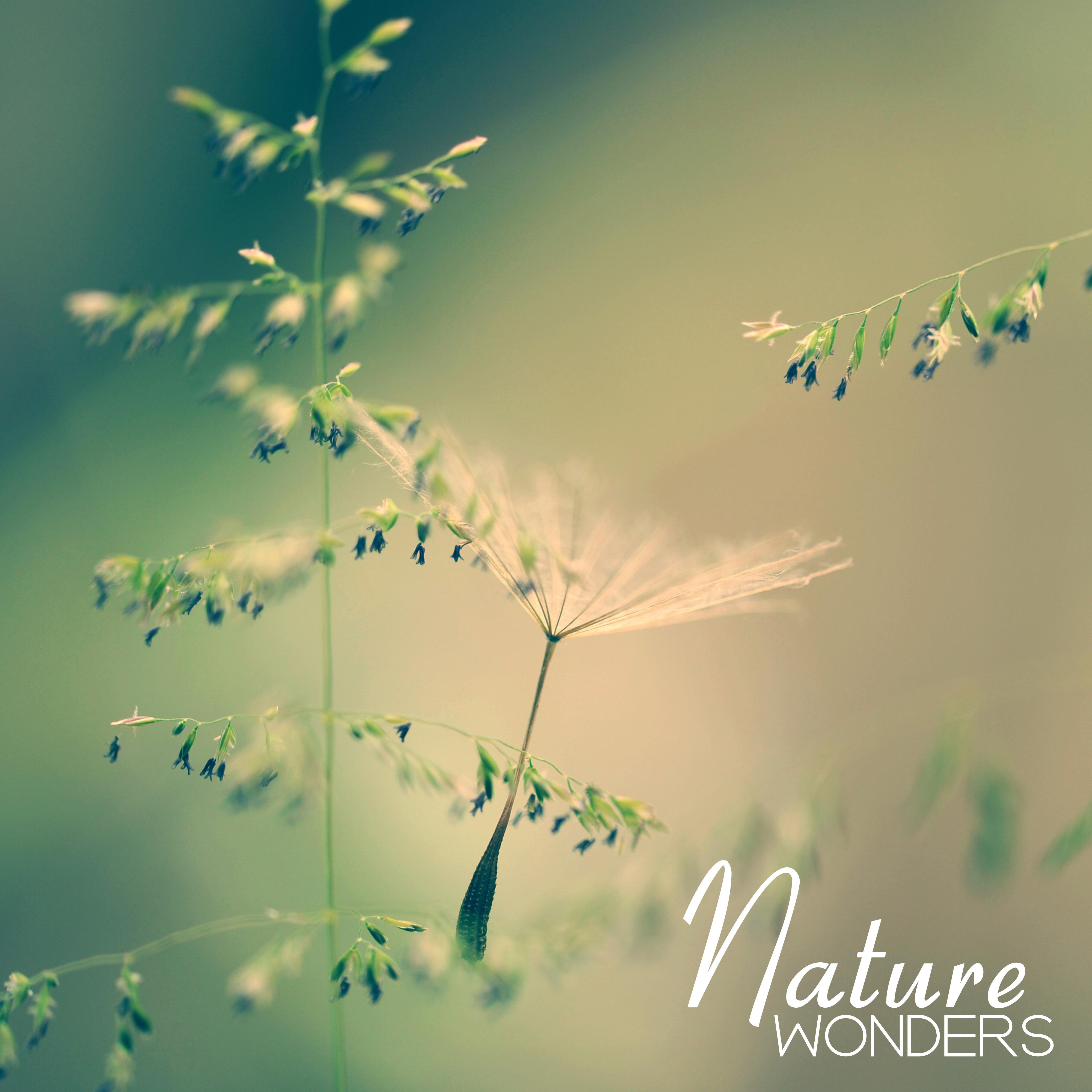 Nature Wonders  Sounds of Nature for Pure Relaxation, Sleep, Spa, Deep Meditation, Massage, Inner Harmony, Zen Lounge, Healing Music to Calm Down