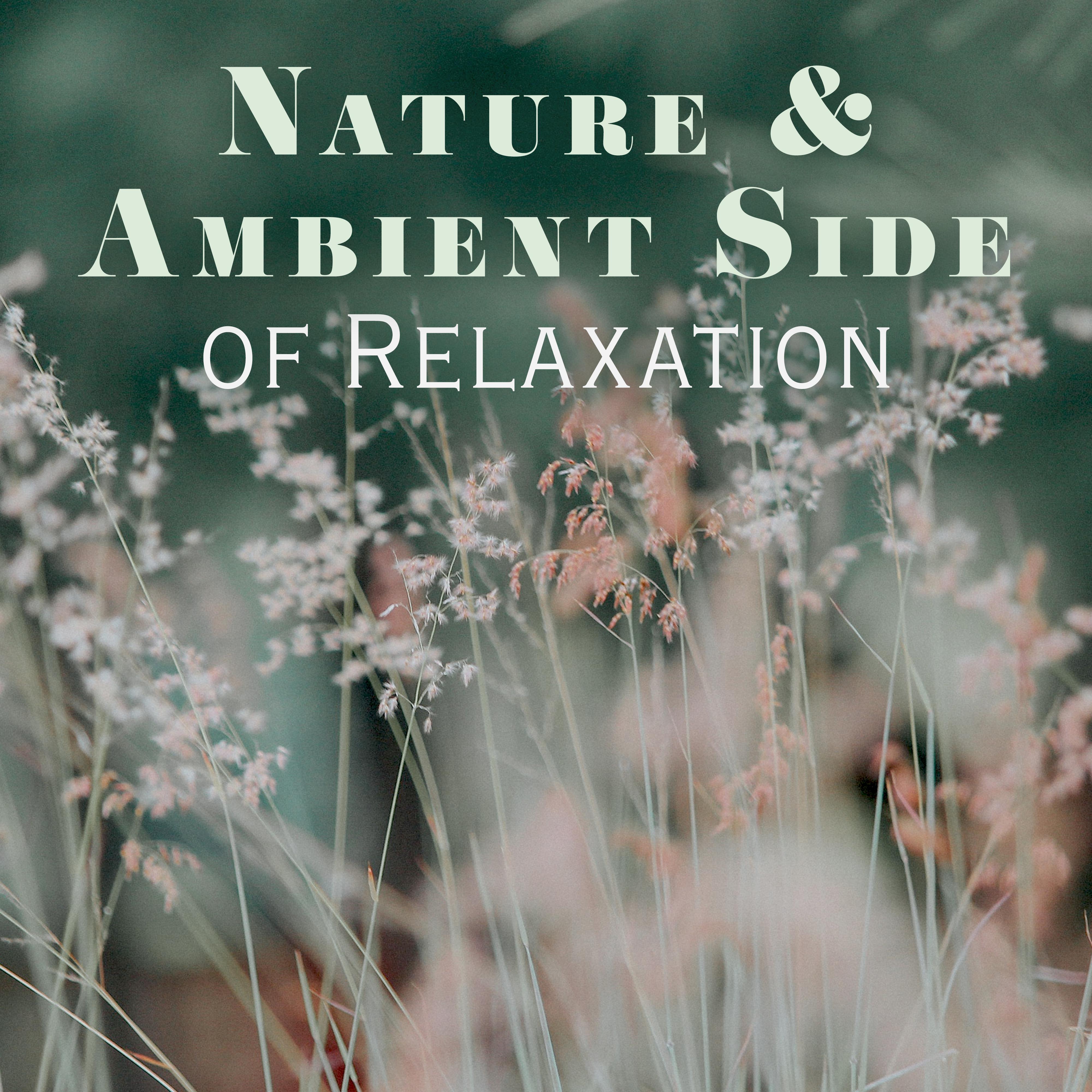 Nature & Ambient Side of Relaxation: New Age 2019 Music for Total Relax, Calming Ambient & Nature Sounds, Soothing Beautiful Piano Melodies