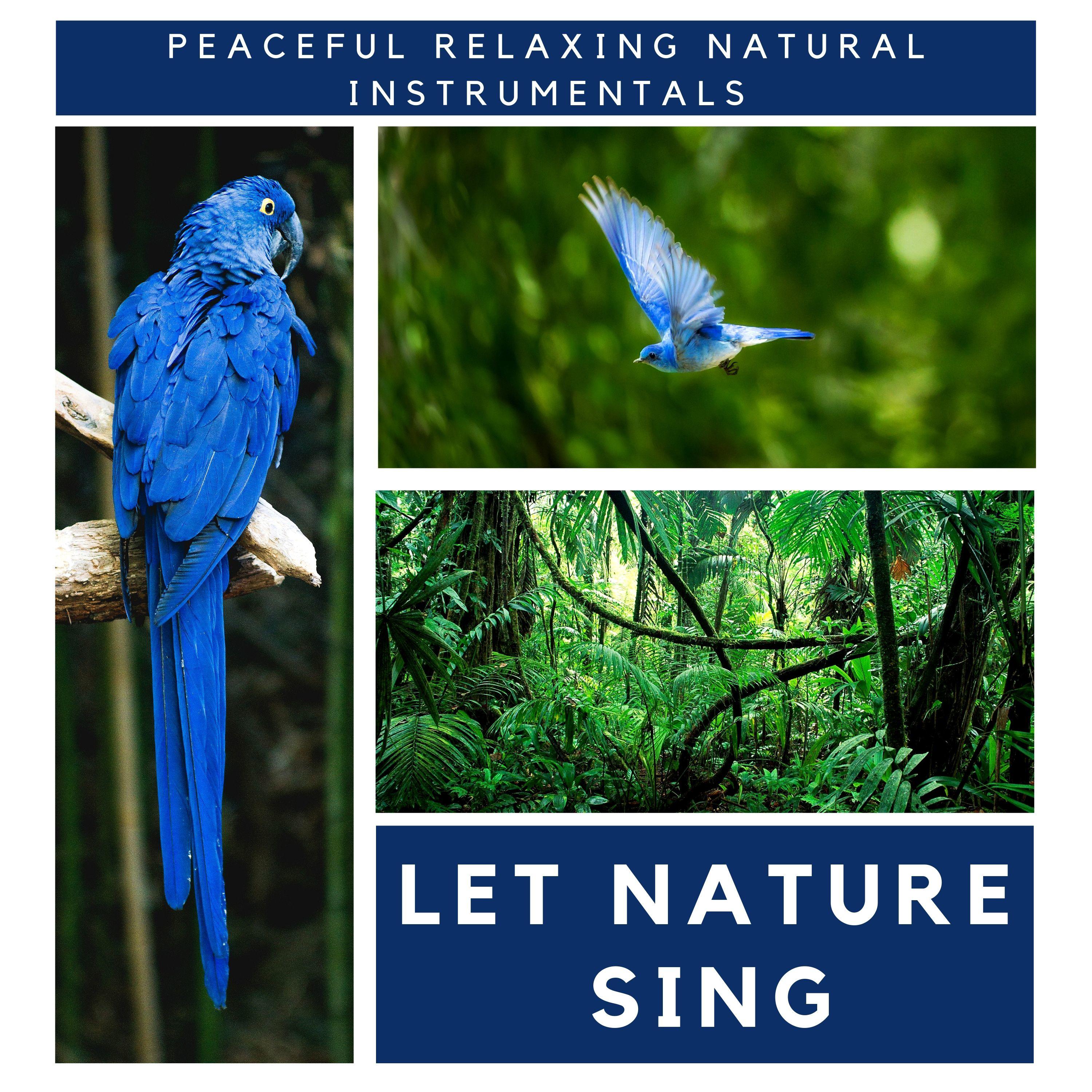 Let Nature Sing