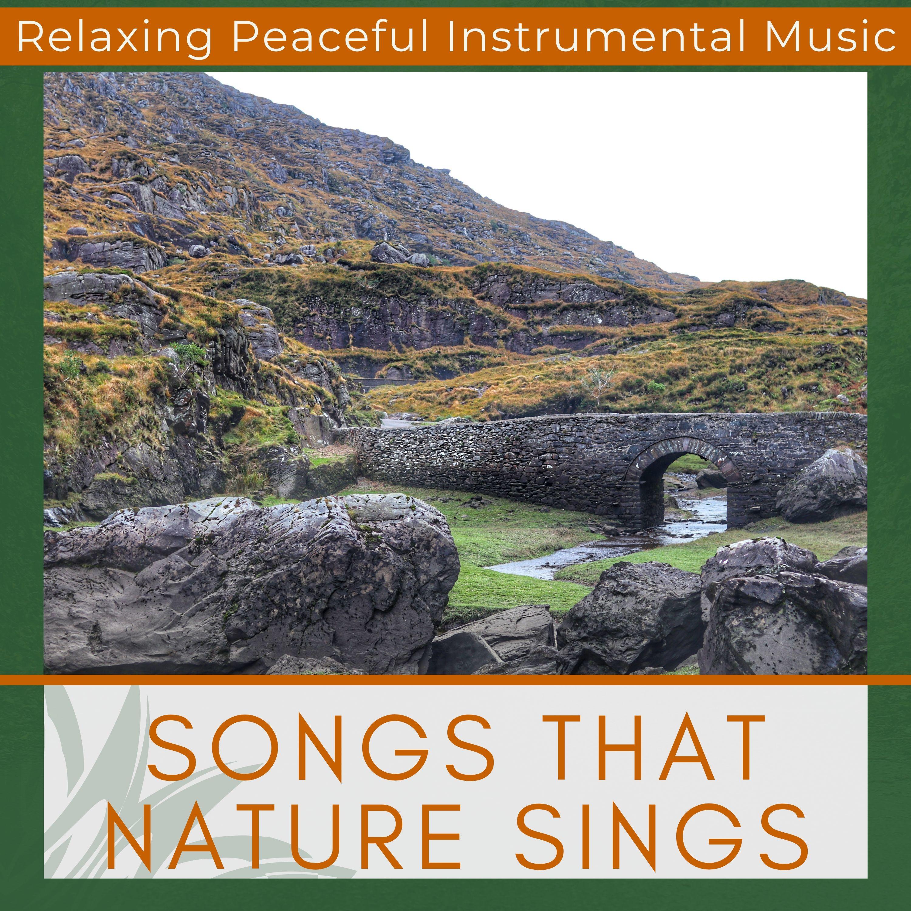 Songs that Nature Sings - Relaxing Peaceful Instrumental Music, Beautiful Celtic Music with Nature sounds