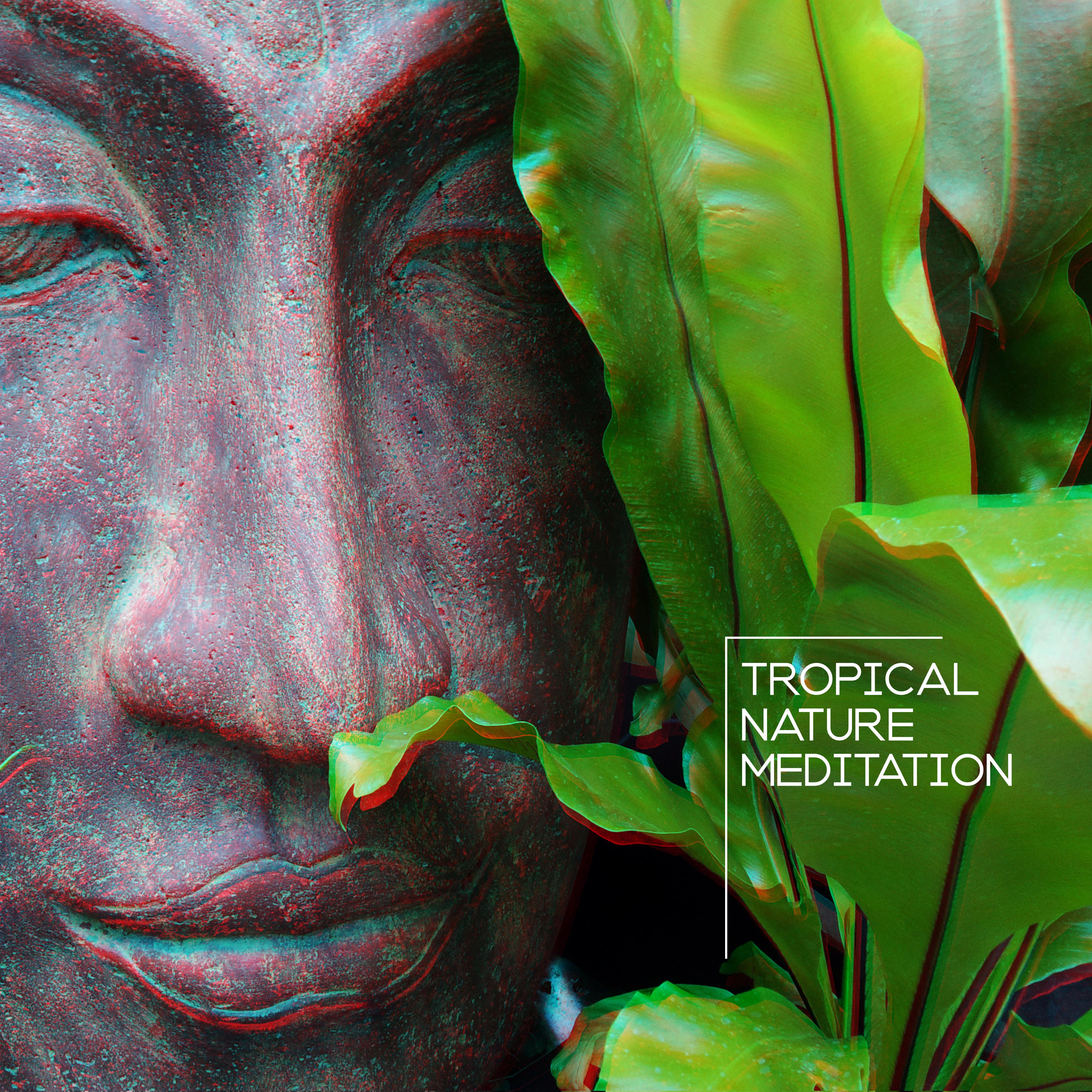 Tropical Nature Meditation: 2019 New Age Music for Yoga Training & Relaxation, Songs Straight from the Tropical Island, Sounds of the Jungle, Nature Meditation Time