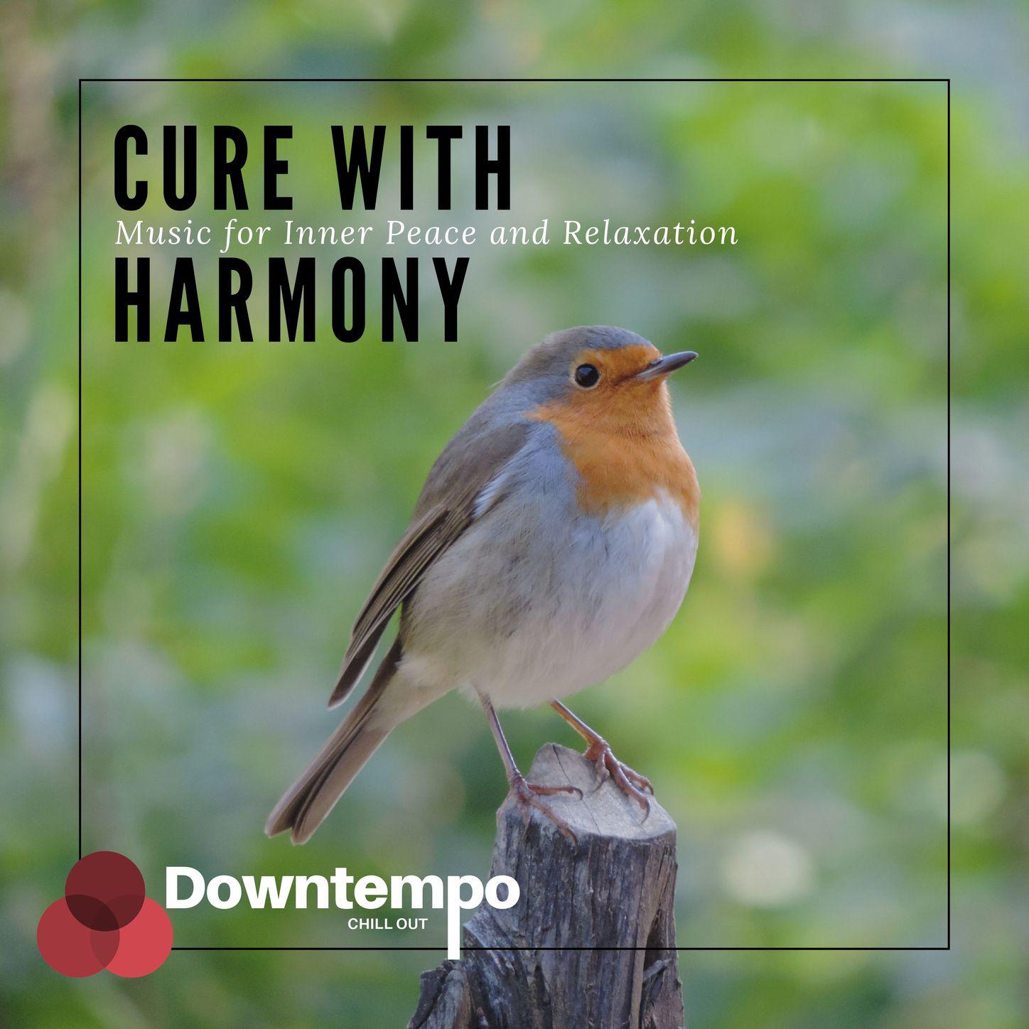 Cure with Harmony: Music for Inner Peace and Relaxation