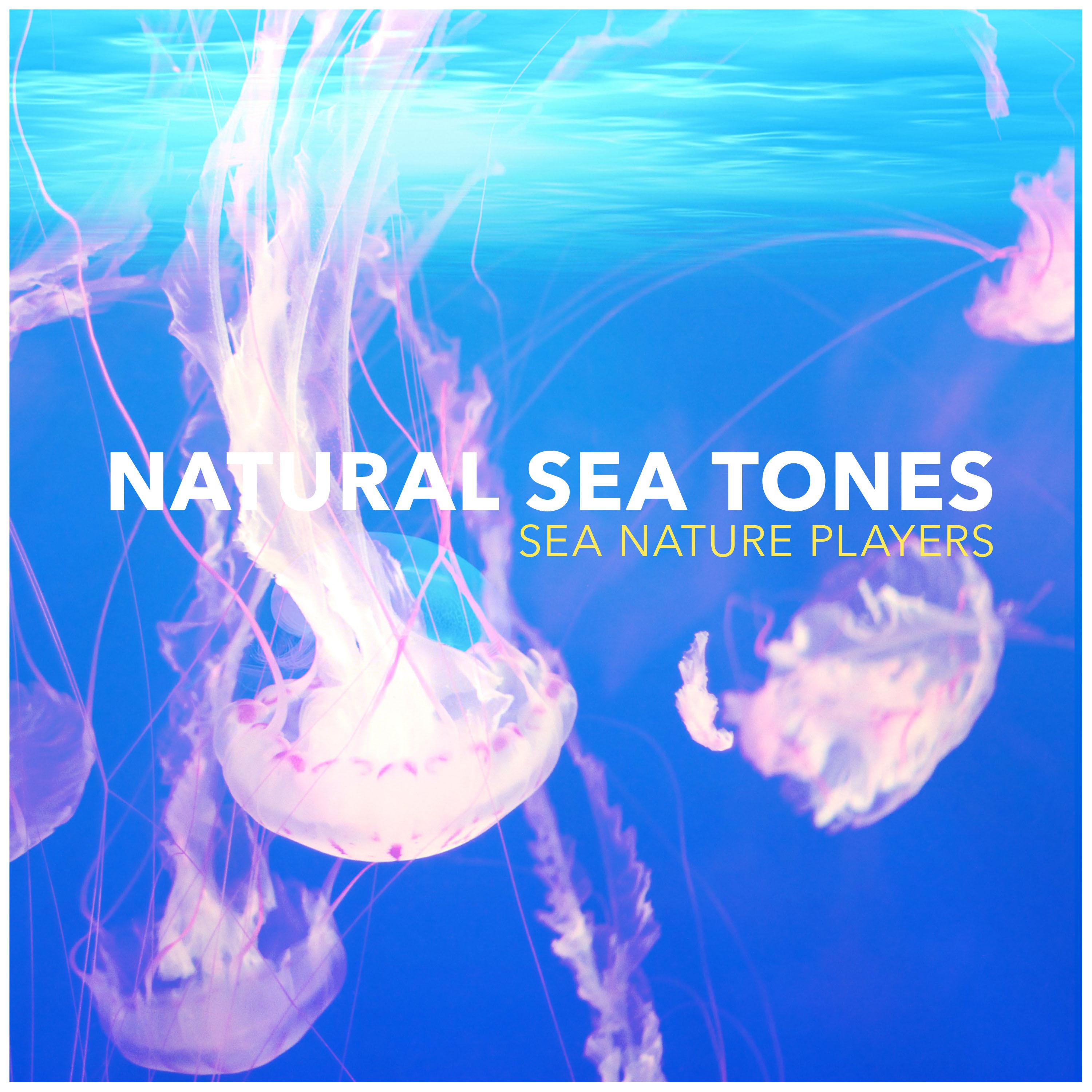 Natural Sea Tones