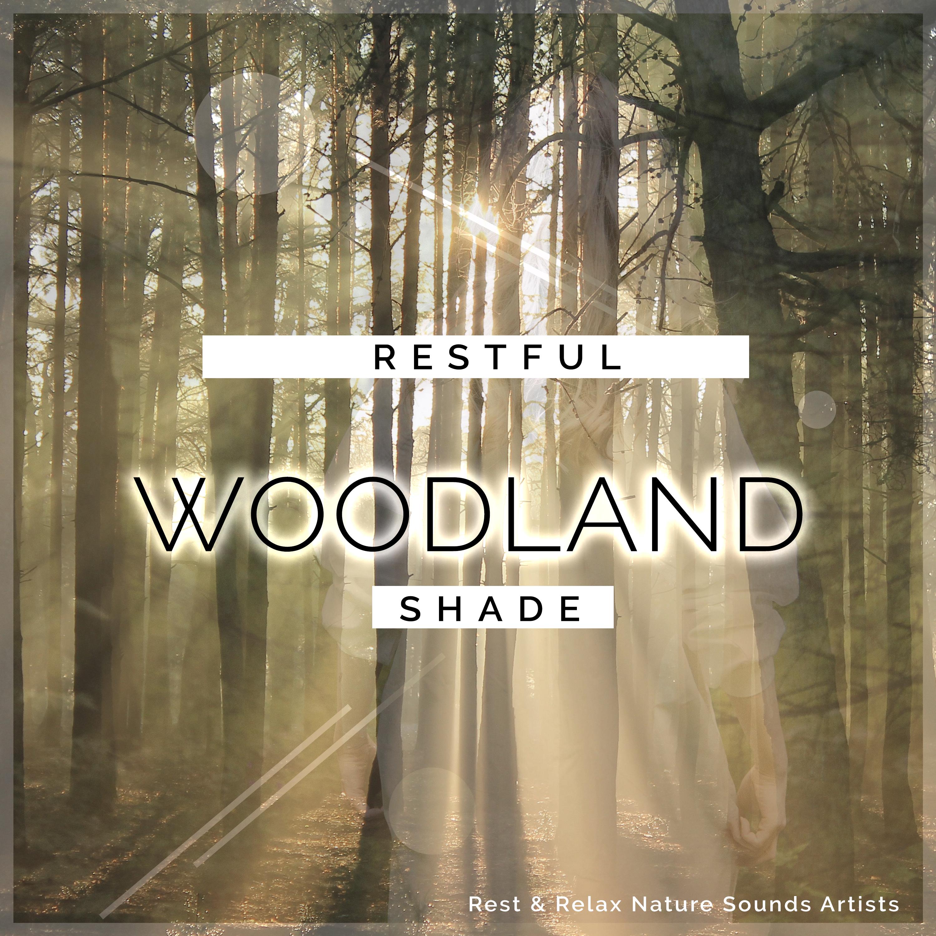 Restful Woodland Shade