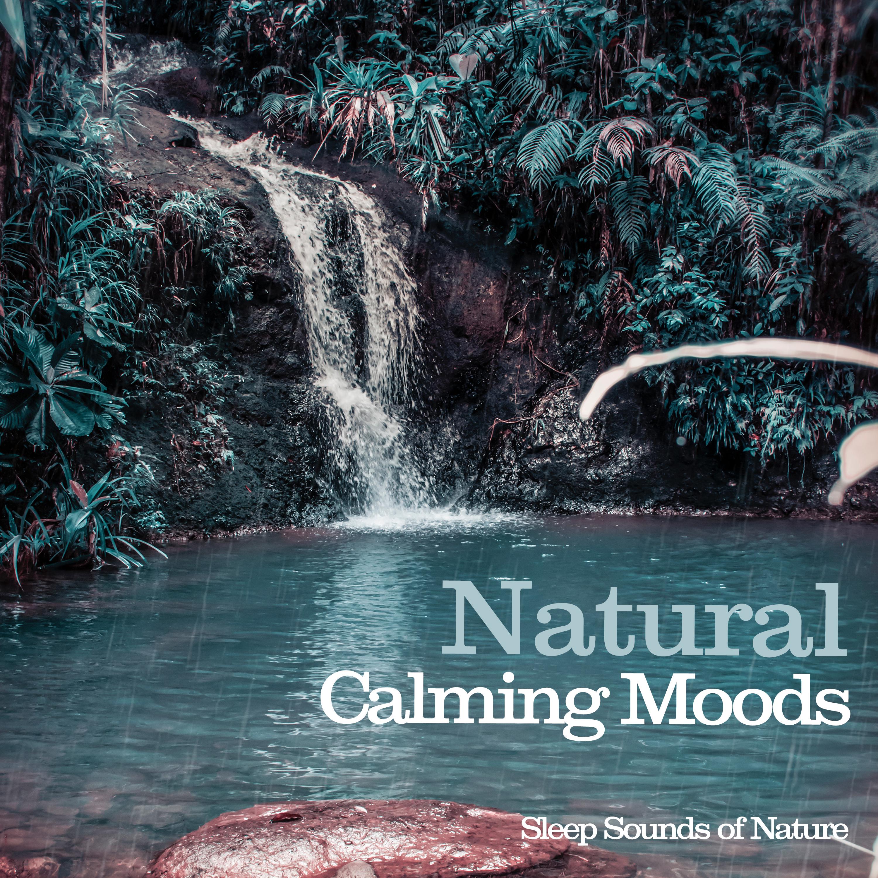 Natural Calming Moods