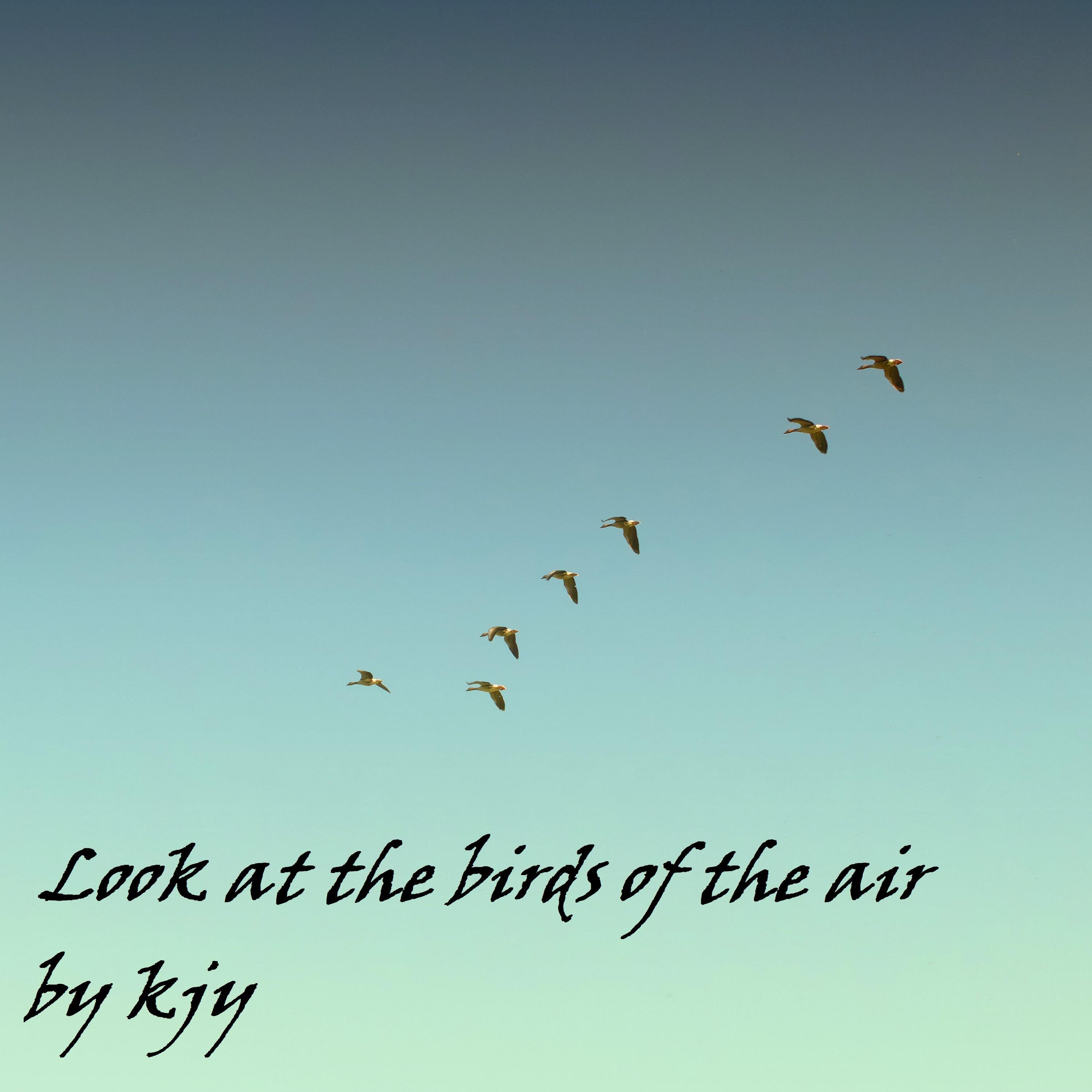 Look At The Birds Of The Air