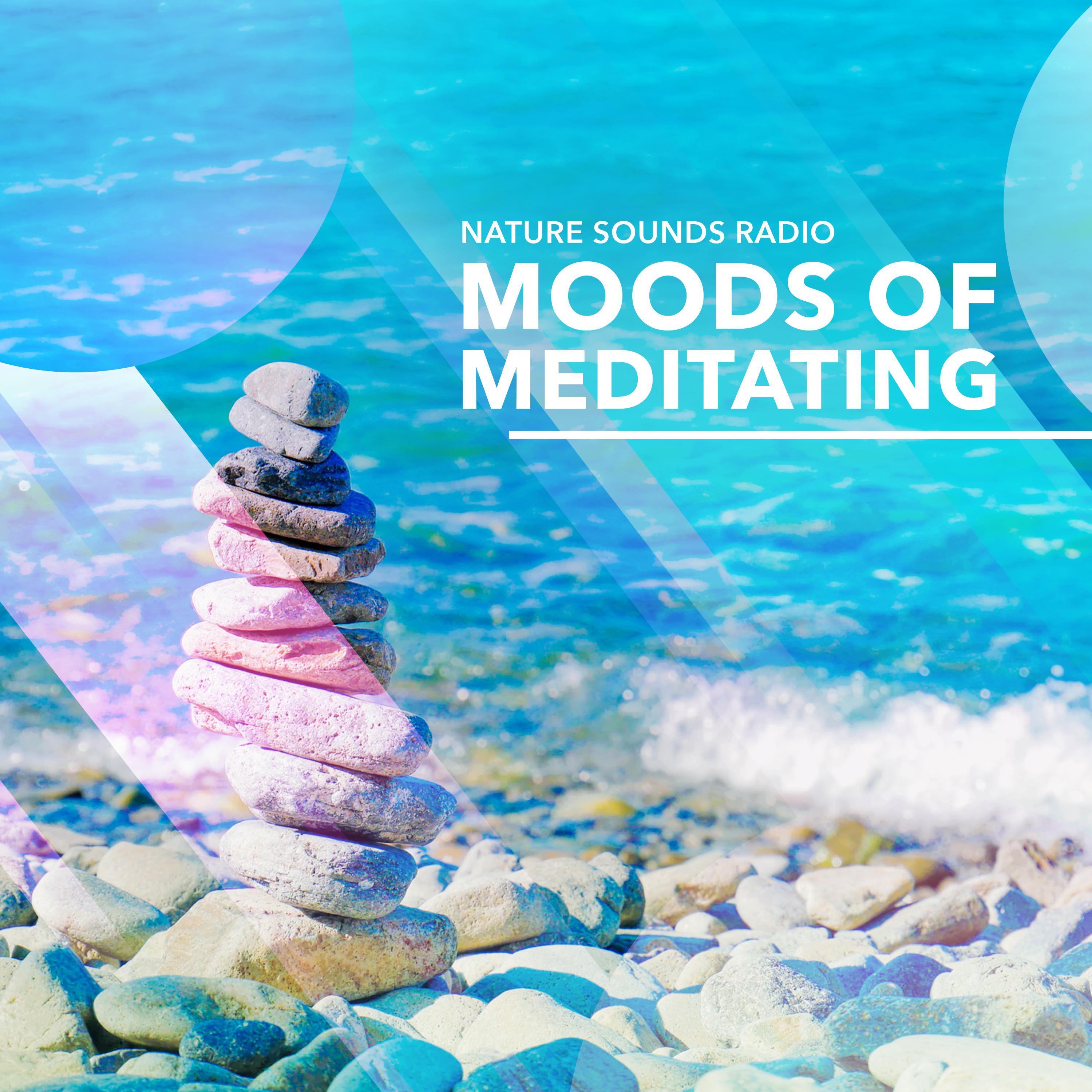 Moods of Meditating