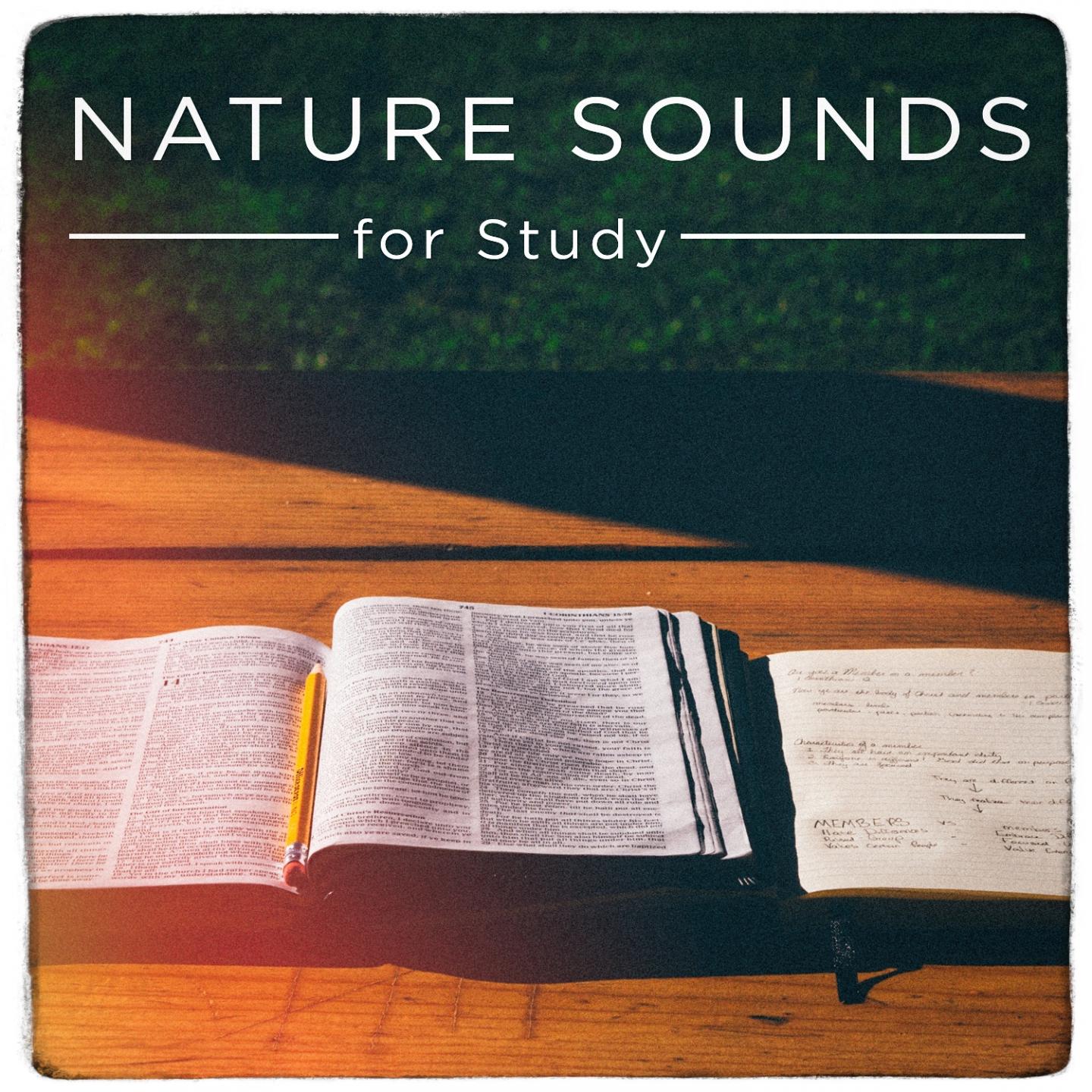 Nature Sounds for Study