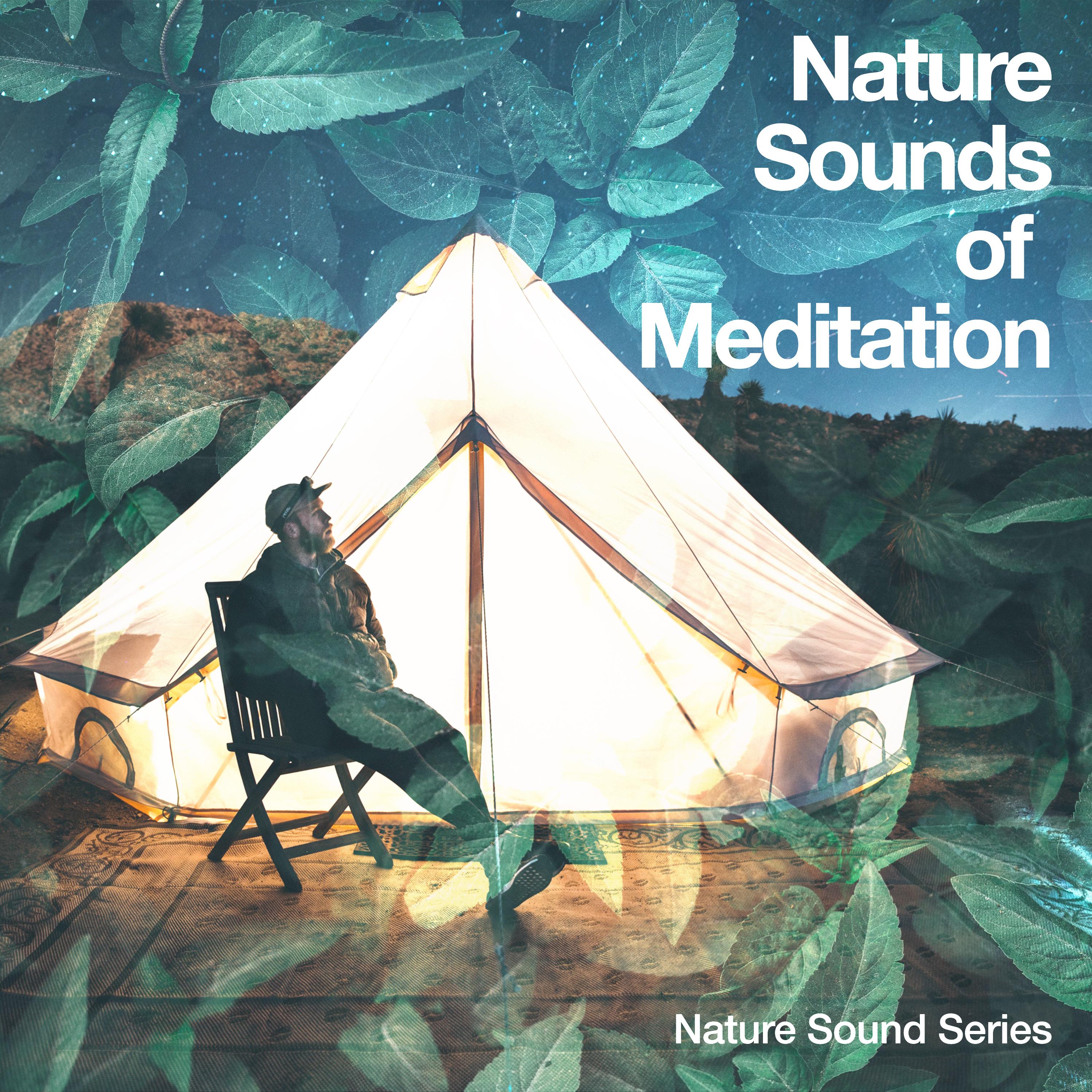 Nature Sounds of Meditation