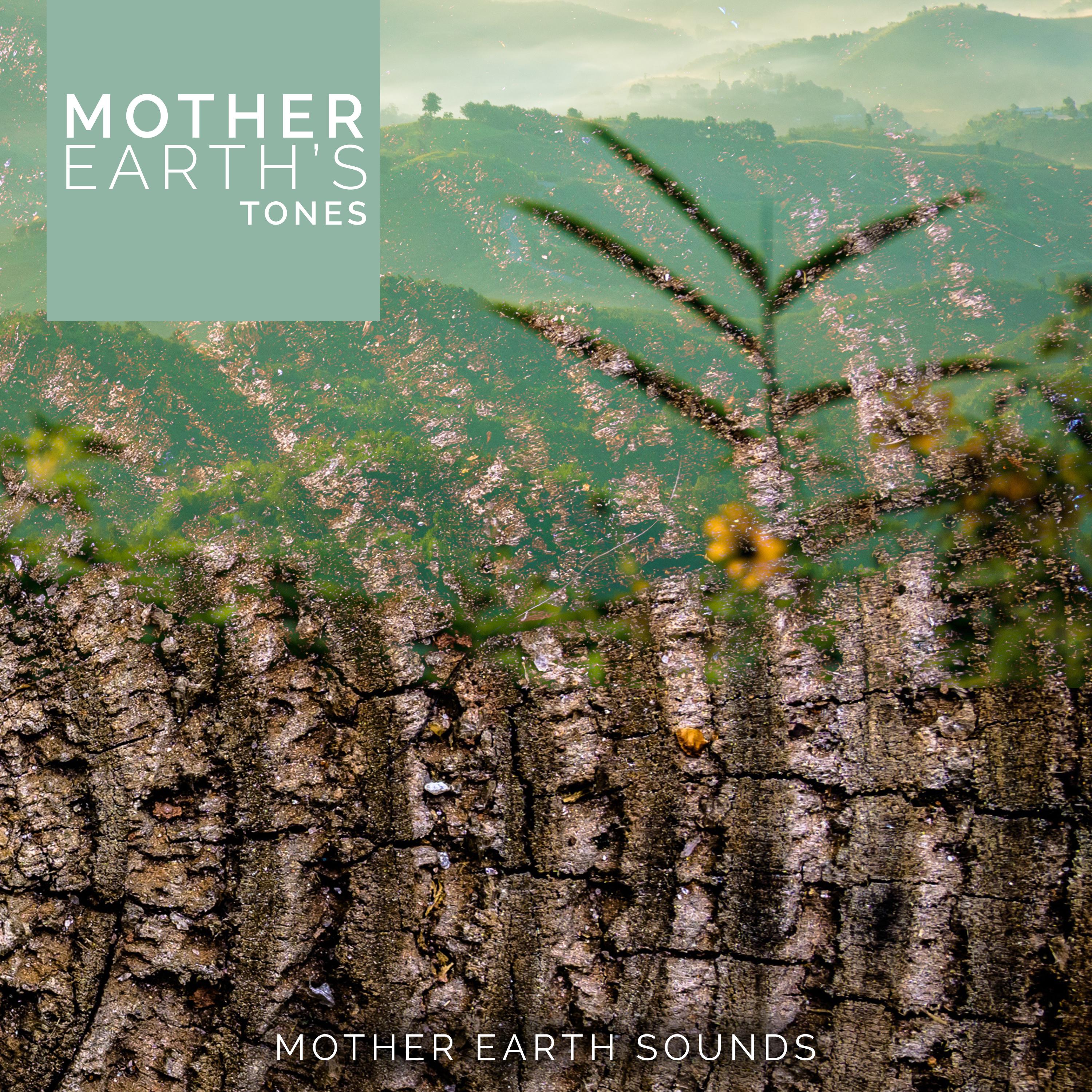 Mother Earth's Tones