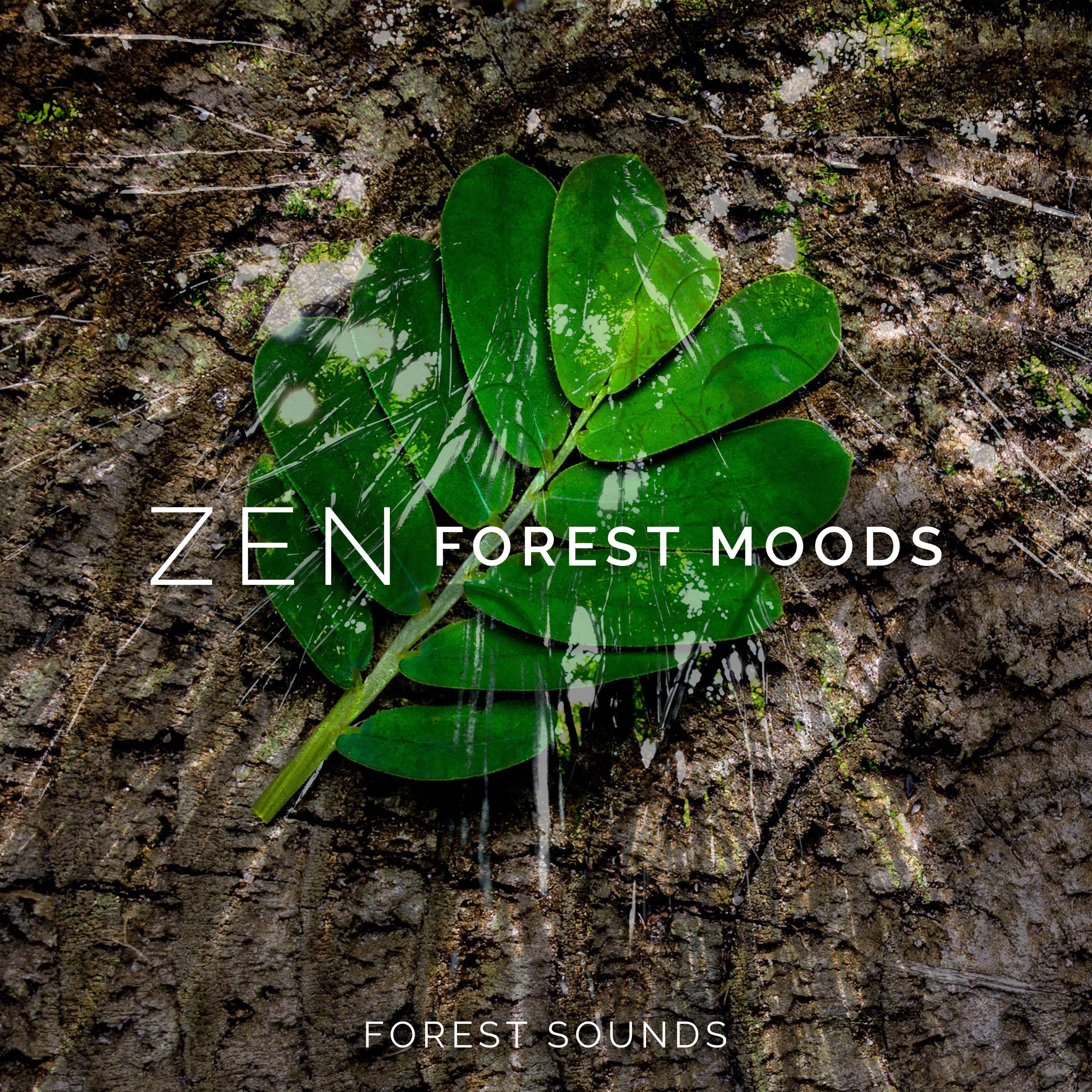 Zen Forest Moods