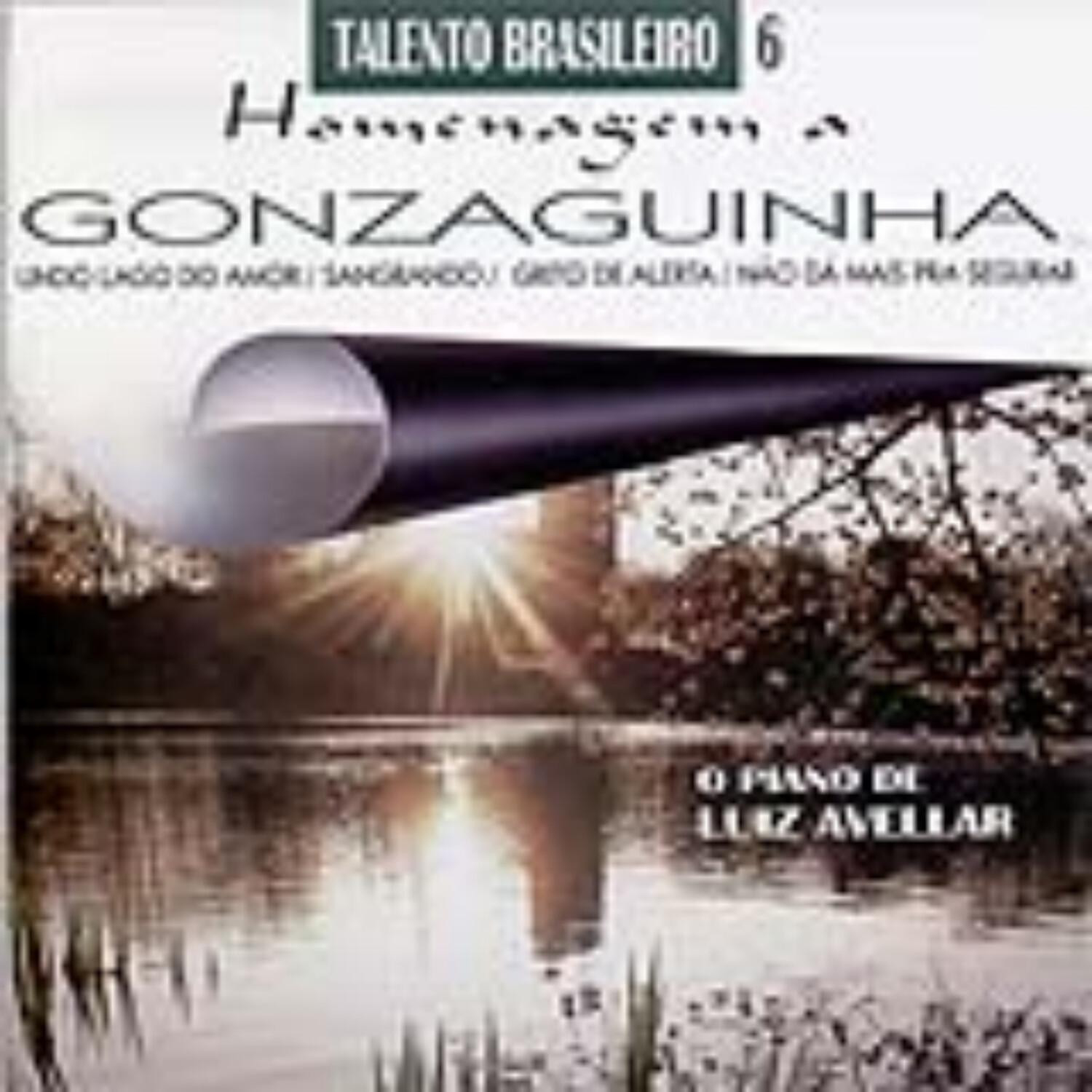 Talento Brasileiro 6 (Homenagem a Gonzaguinha)