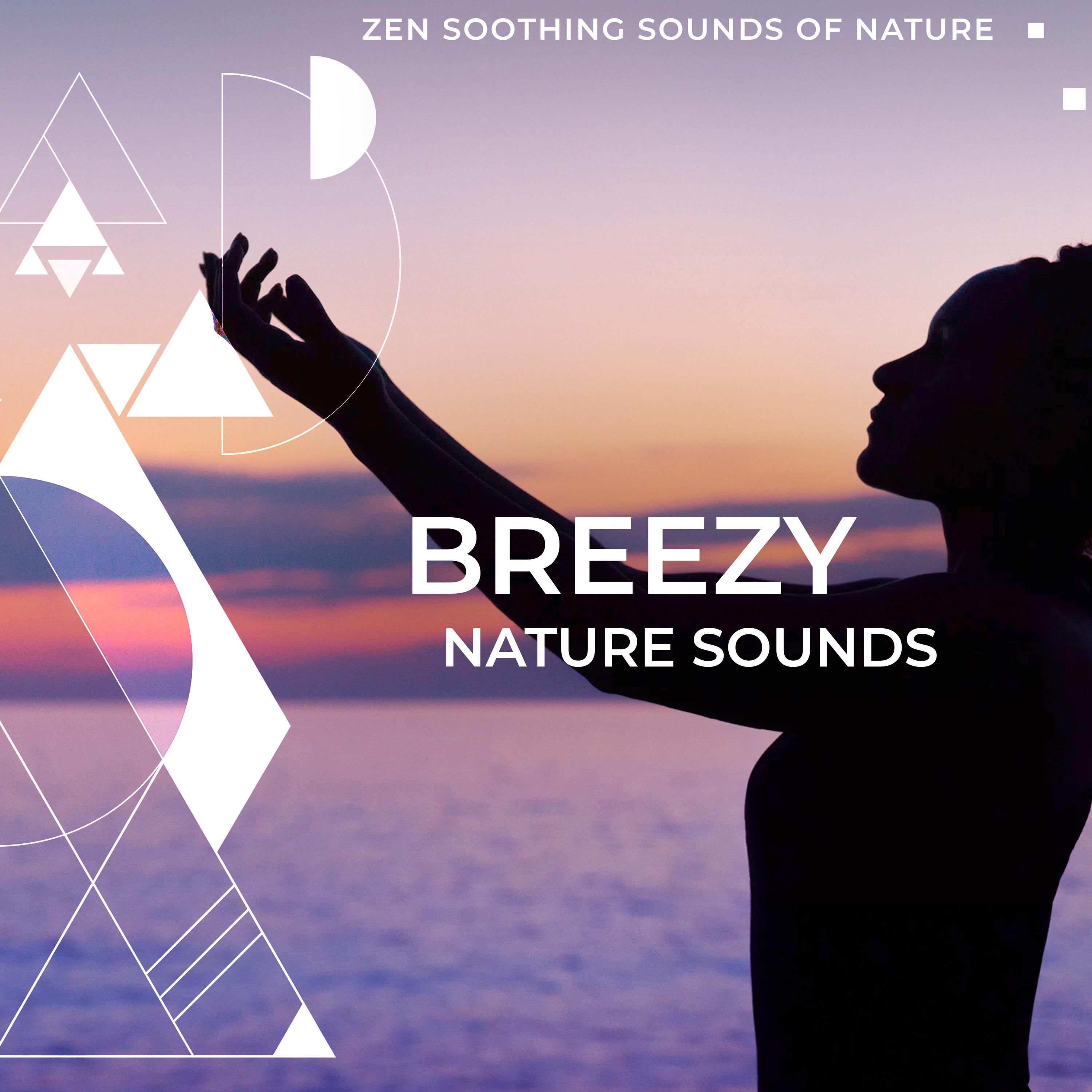 Breezy Nature Sounds