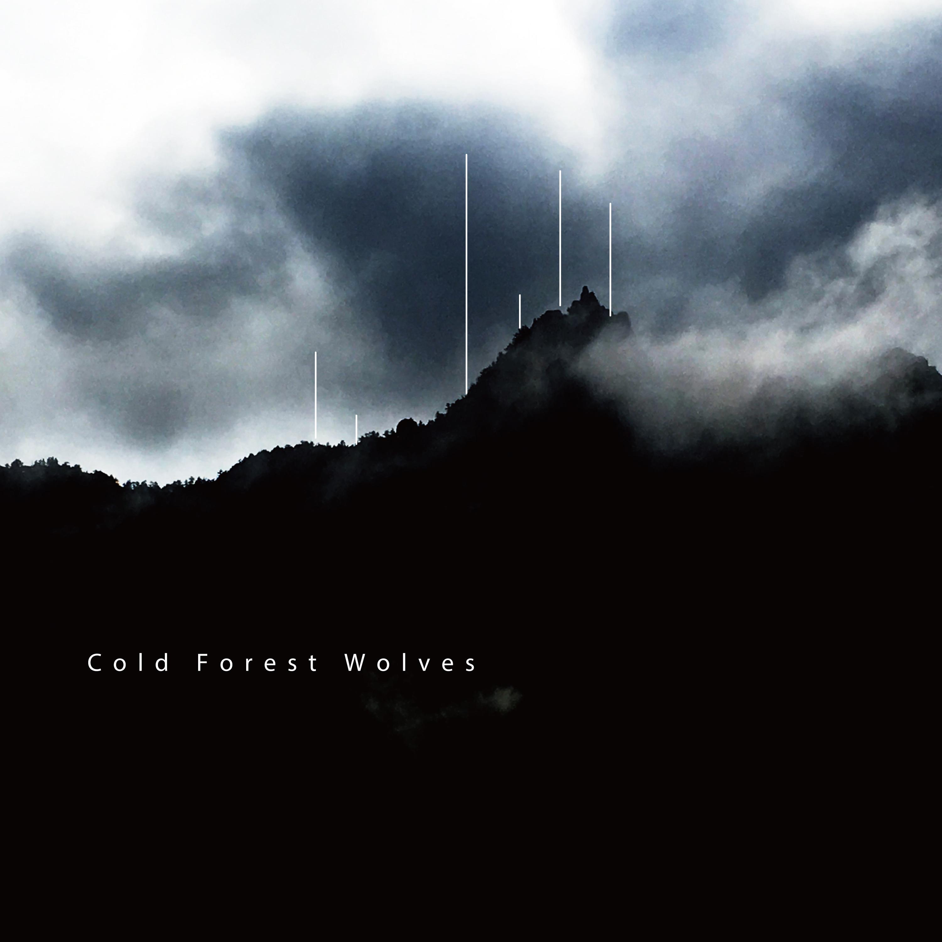 Cold Forest Wolves