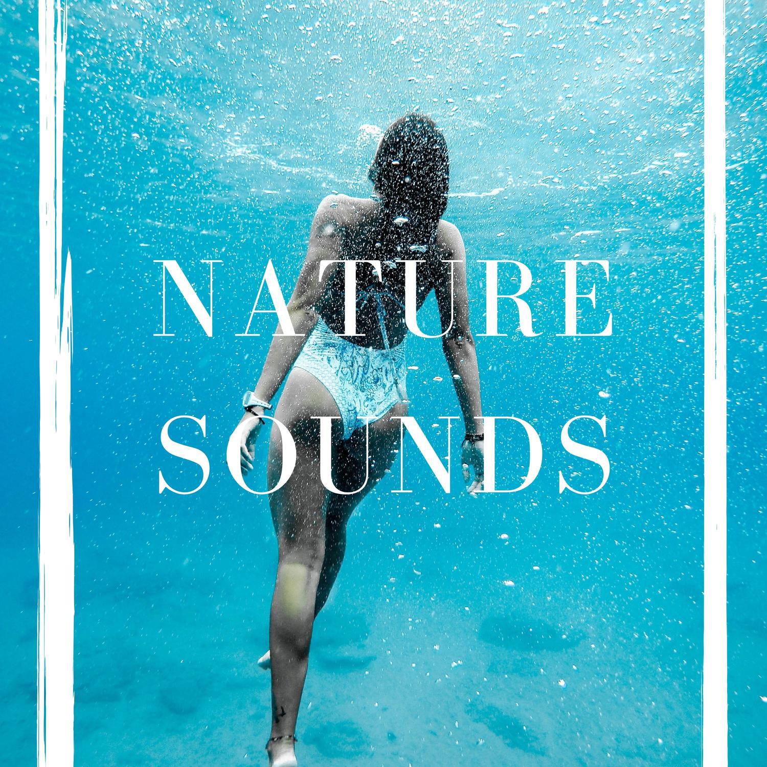 Nature Sounds: Rain, Rainforest and Jungle  Soothing Natural Sound Loopable