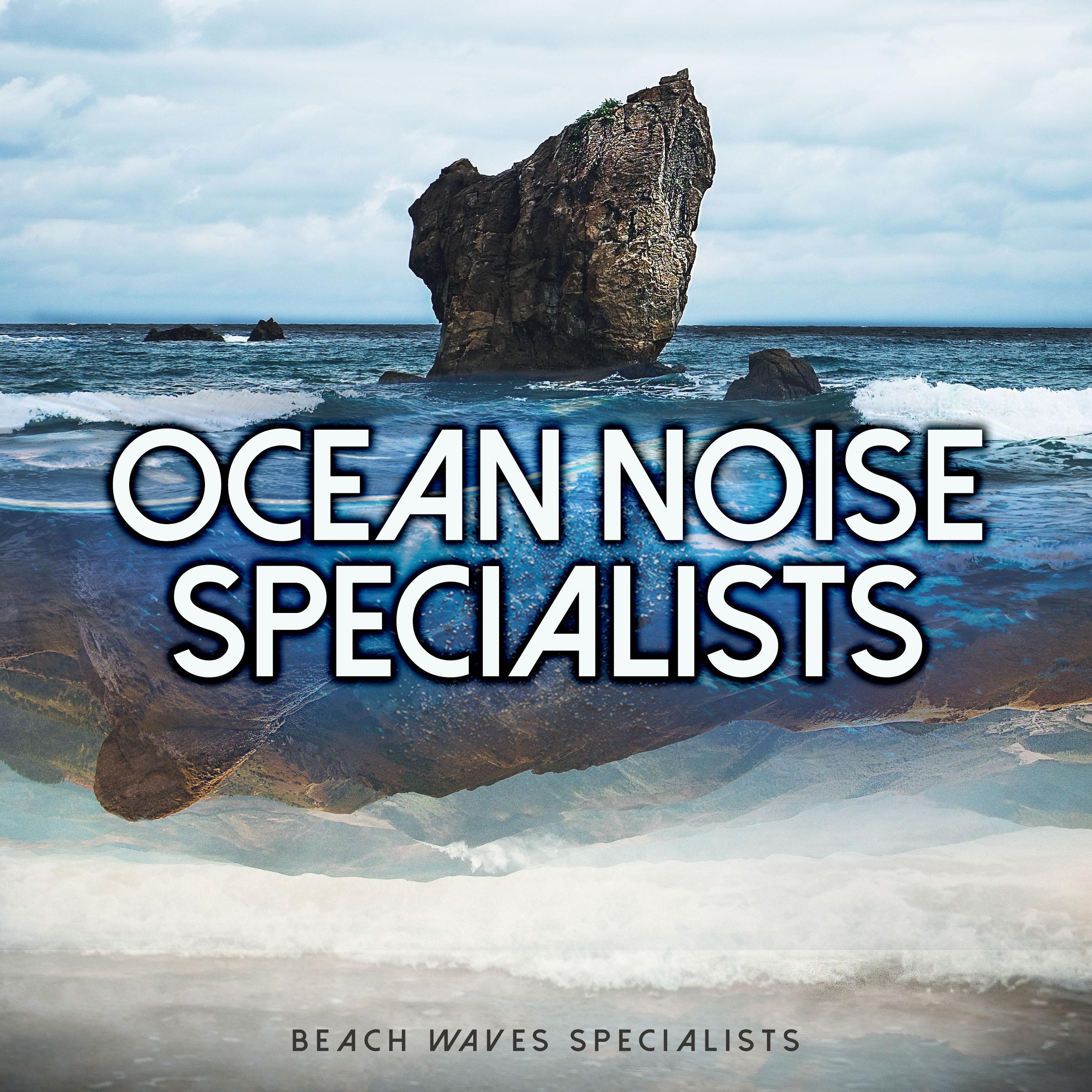 Ocean Noise Specialists