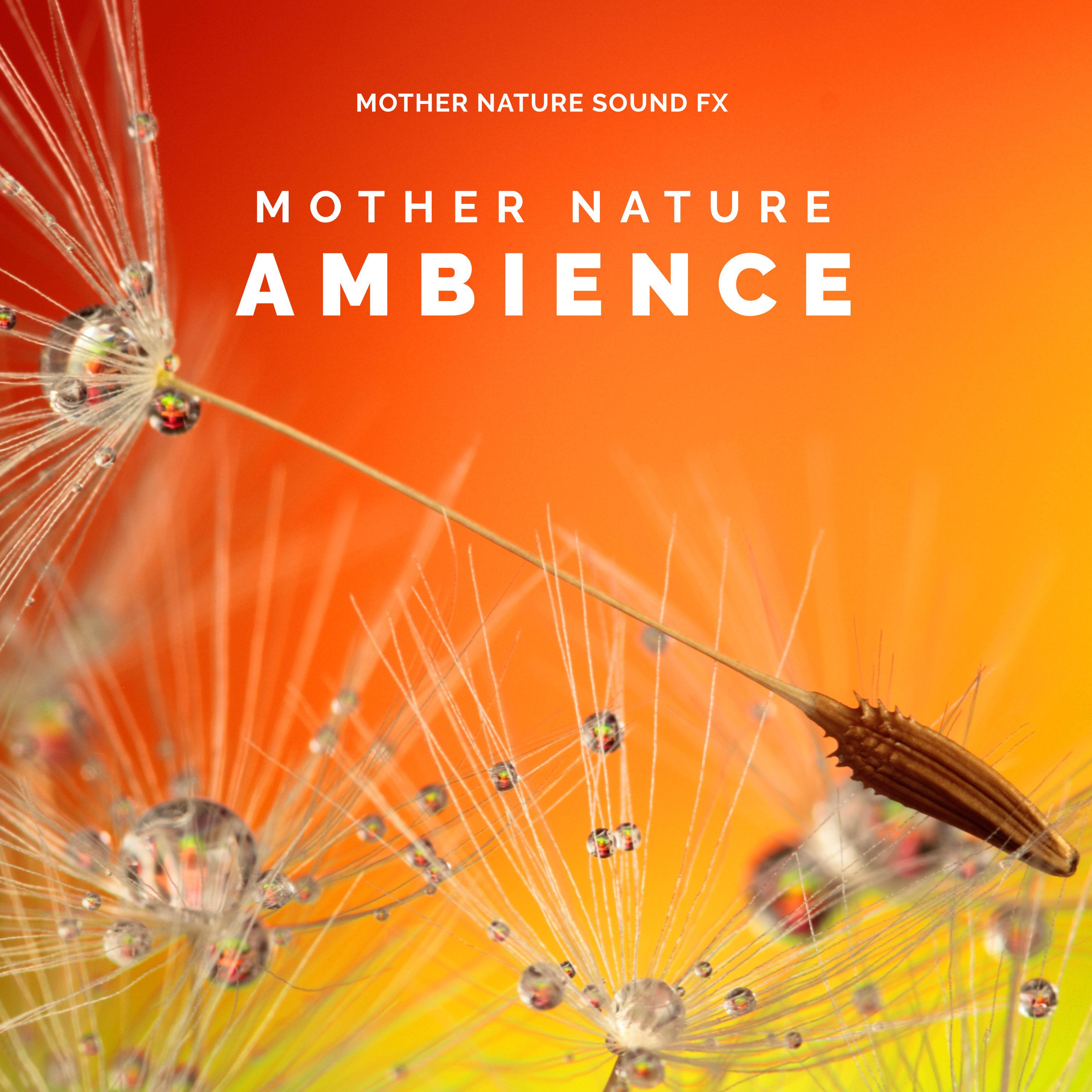 Mother Nature: Ambience