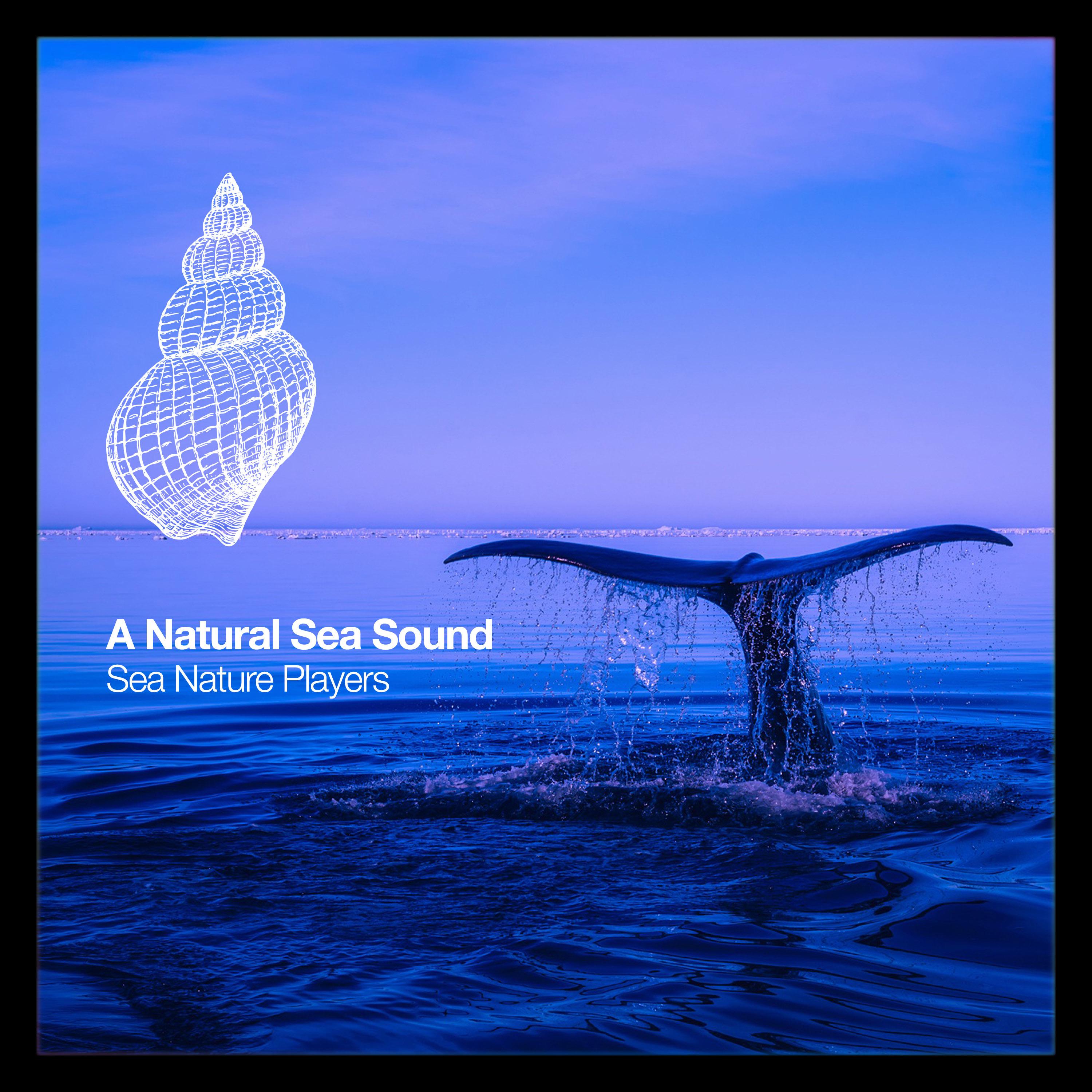 A Natural Sea Sound