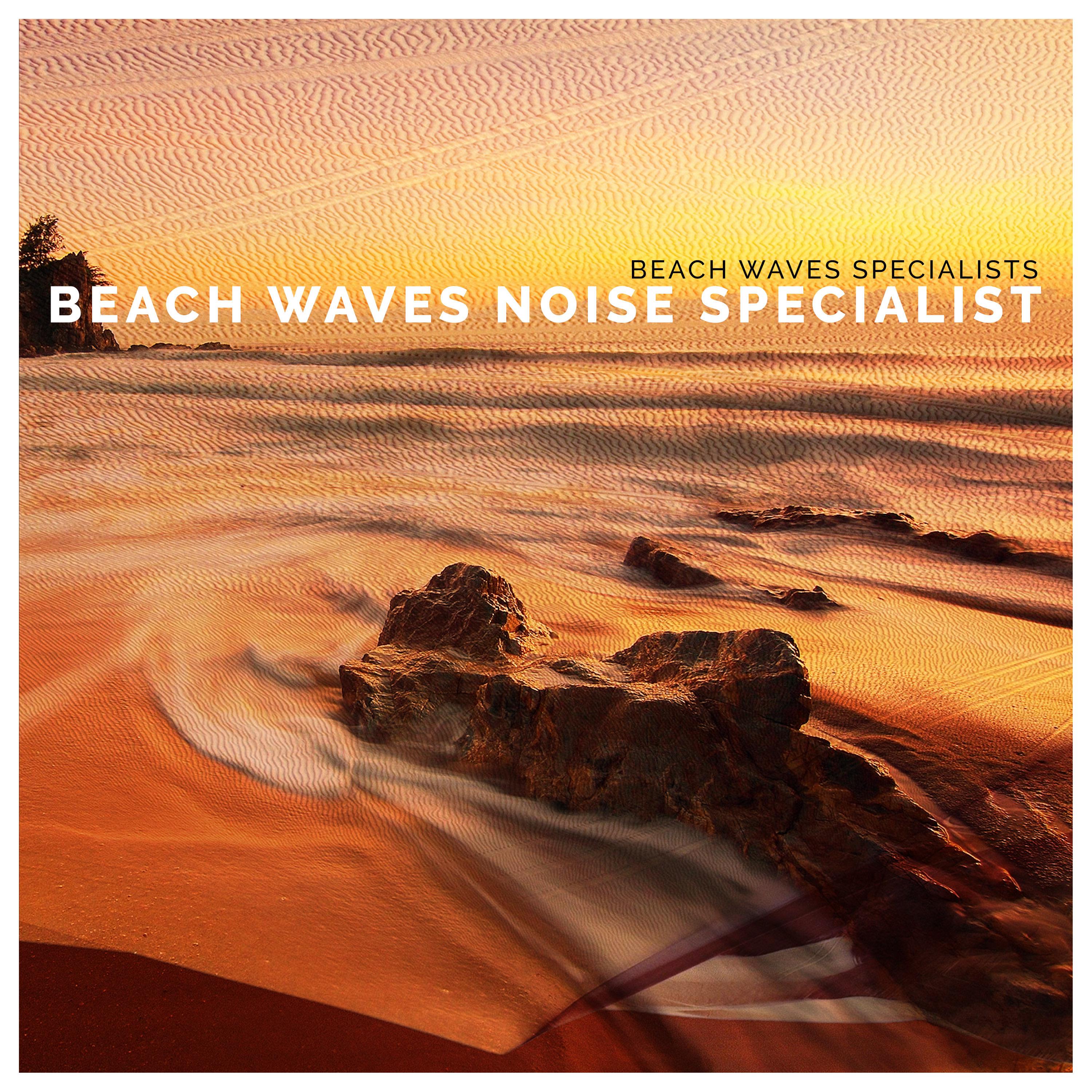 Beach Waves Noise Specialist