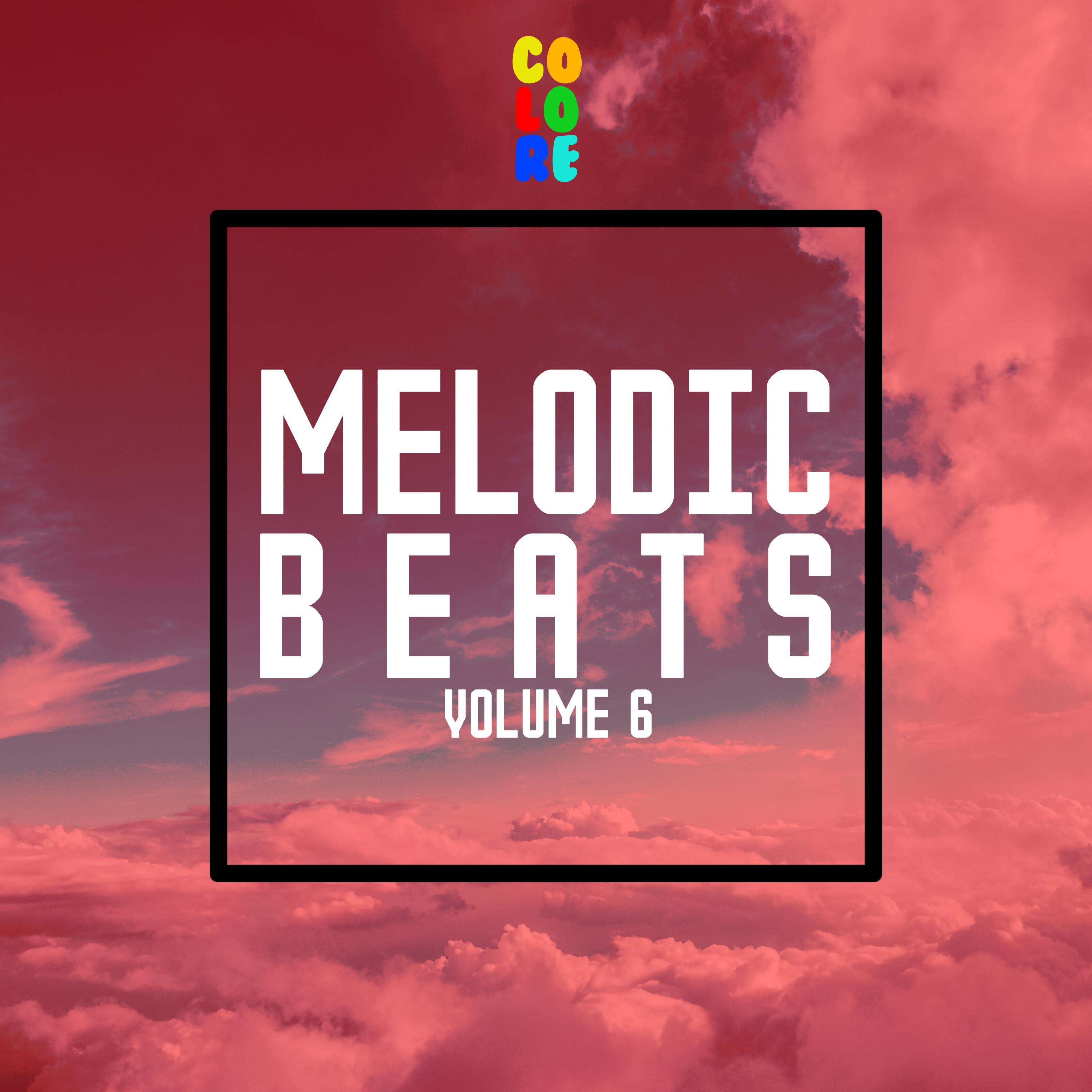 Melodic Beats, Vol. 6