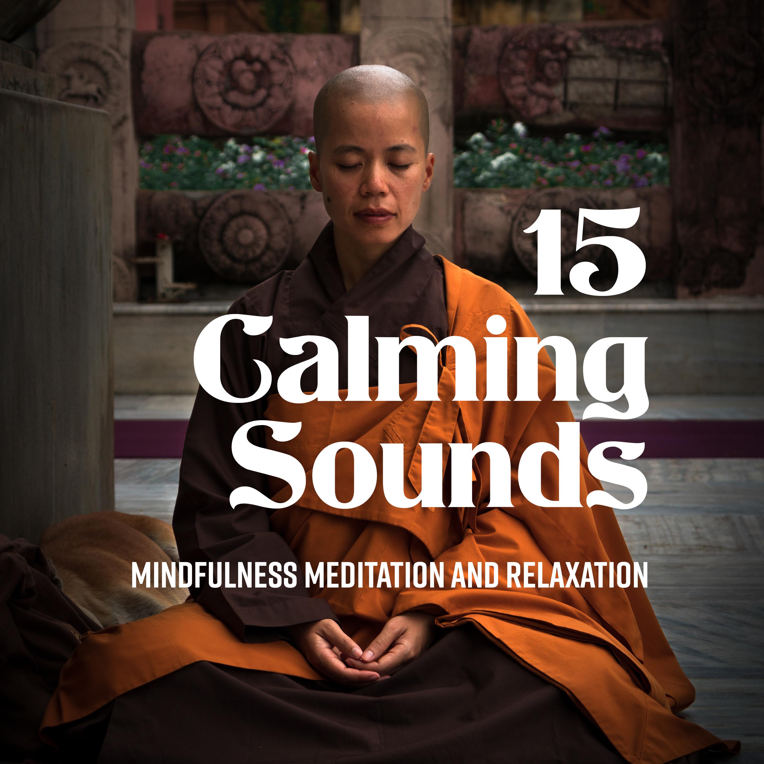 15 Calming Sounds (Mindfulness Meditation and Relaxation)