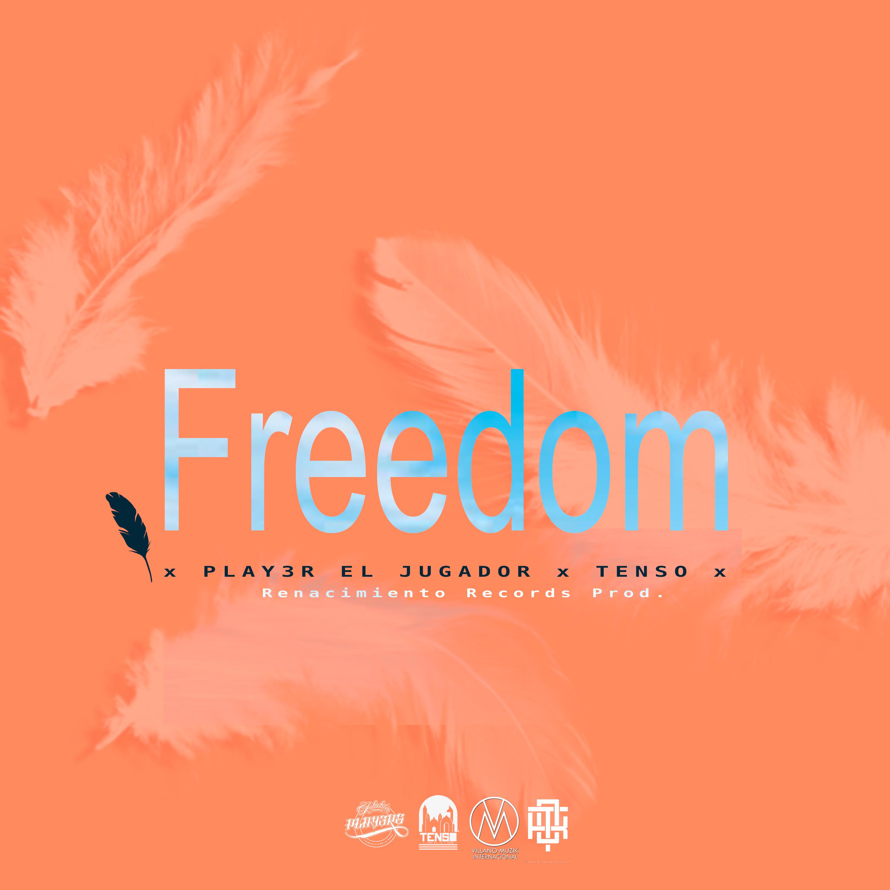 Freedom (feat. Tenso)