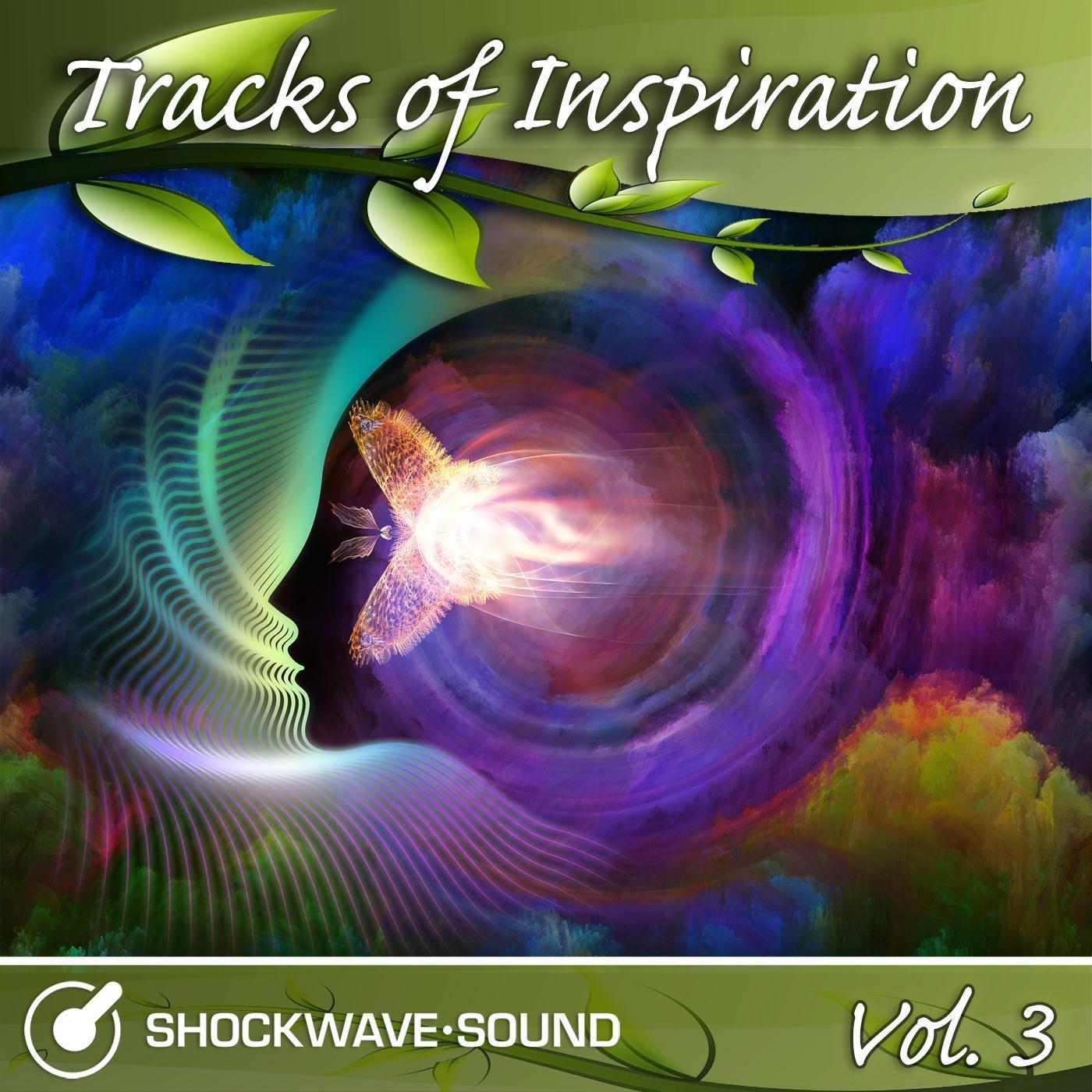 Tracks of Inspiration, Vol. 3