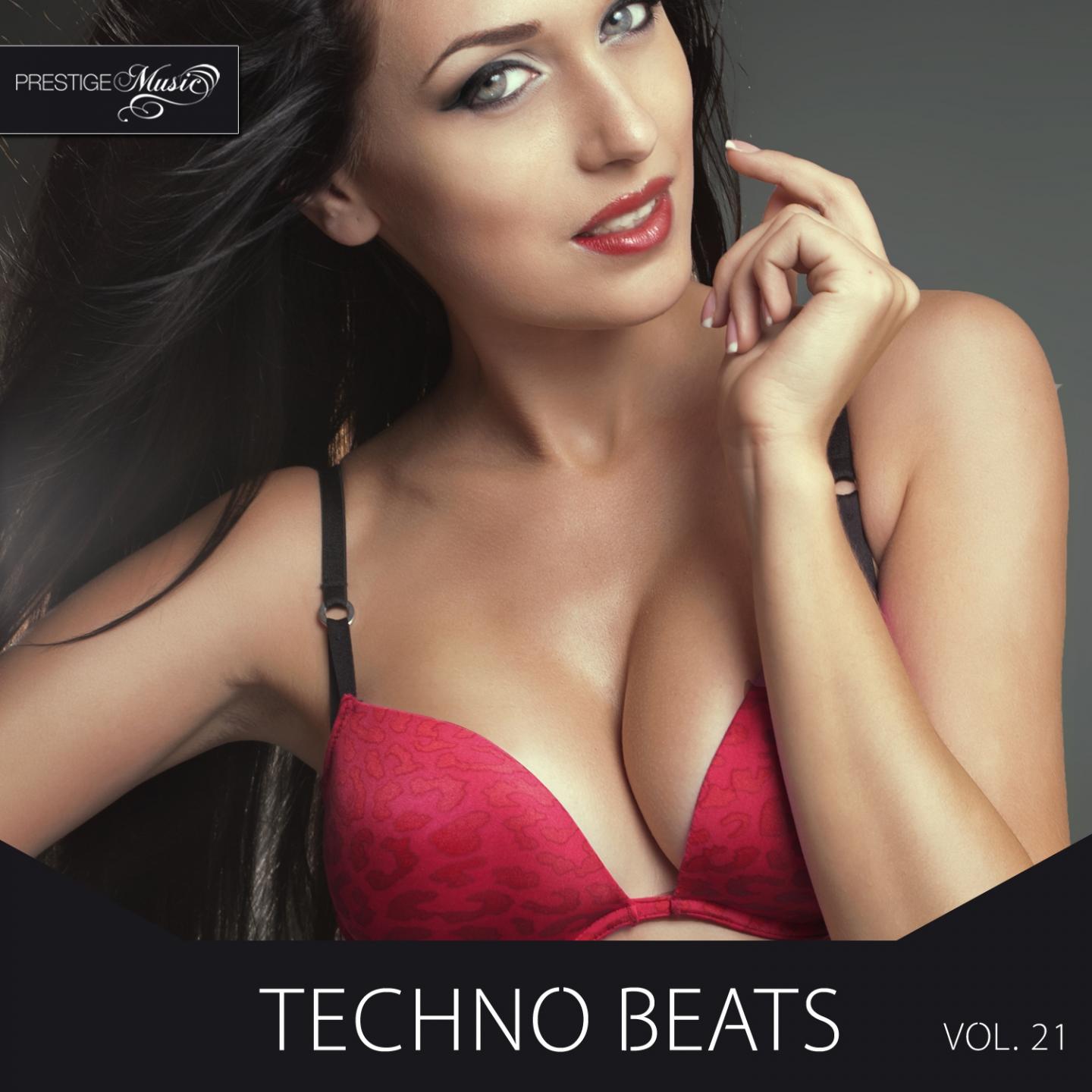 Techno Beats, Vol.21