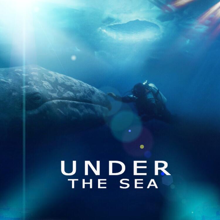 Under  the  sea