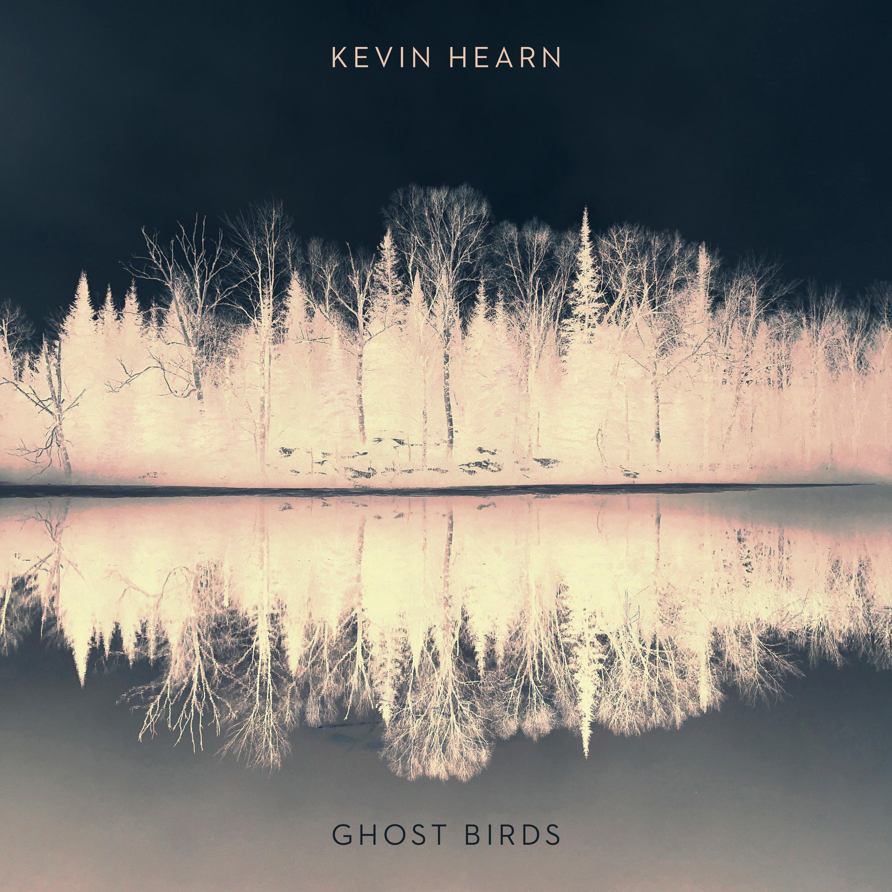 Ghost Birds