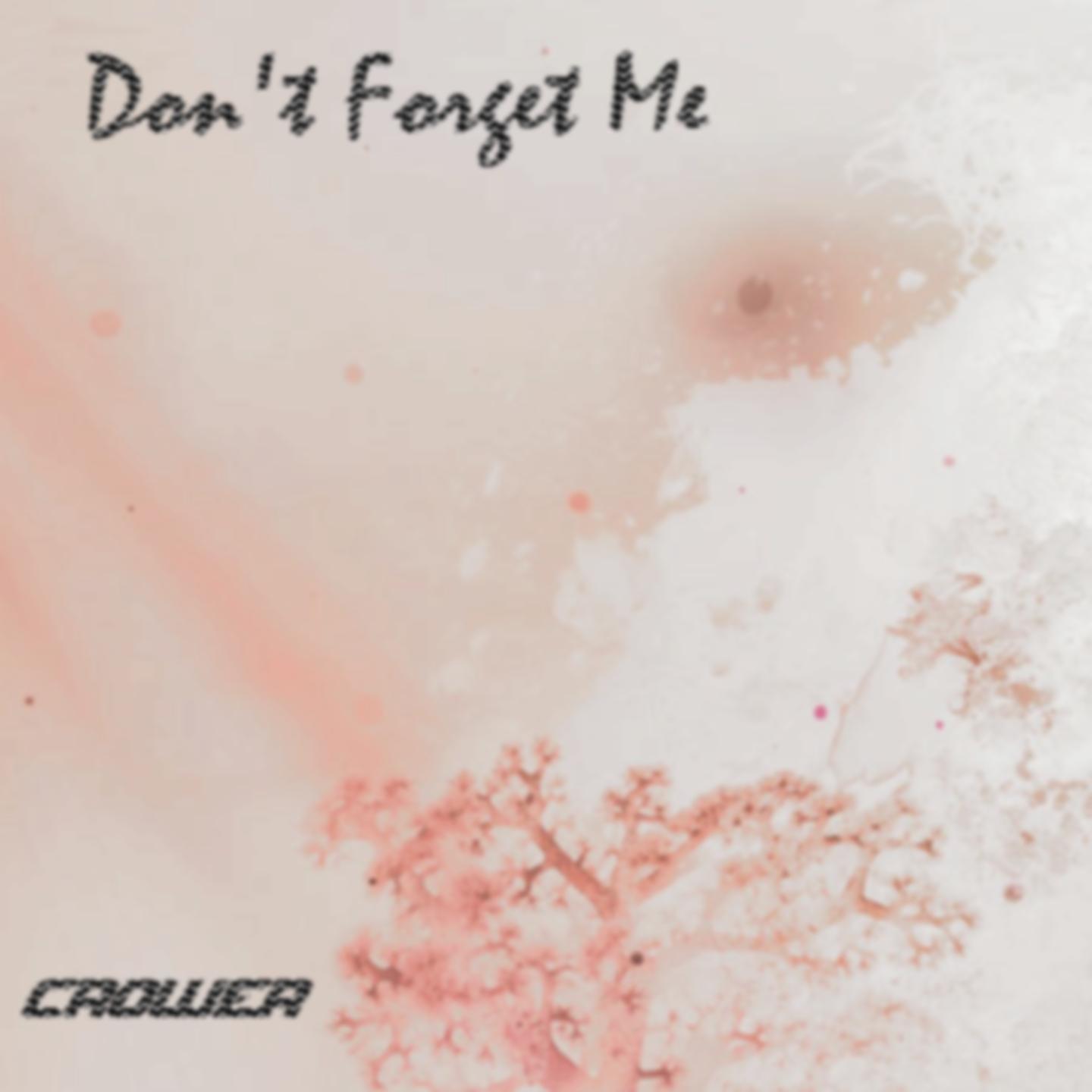 Don't Forget Me