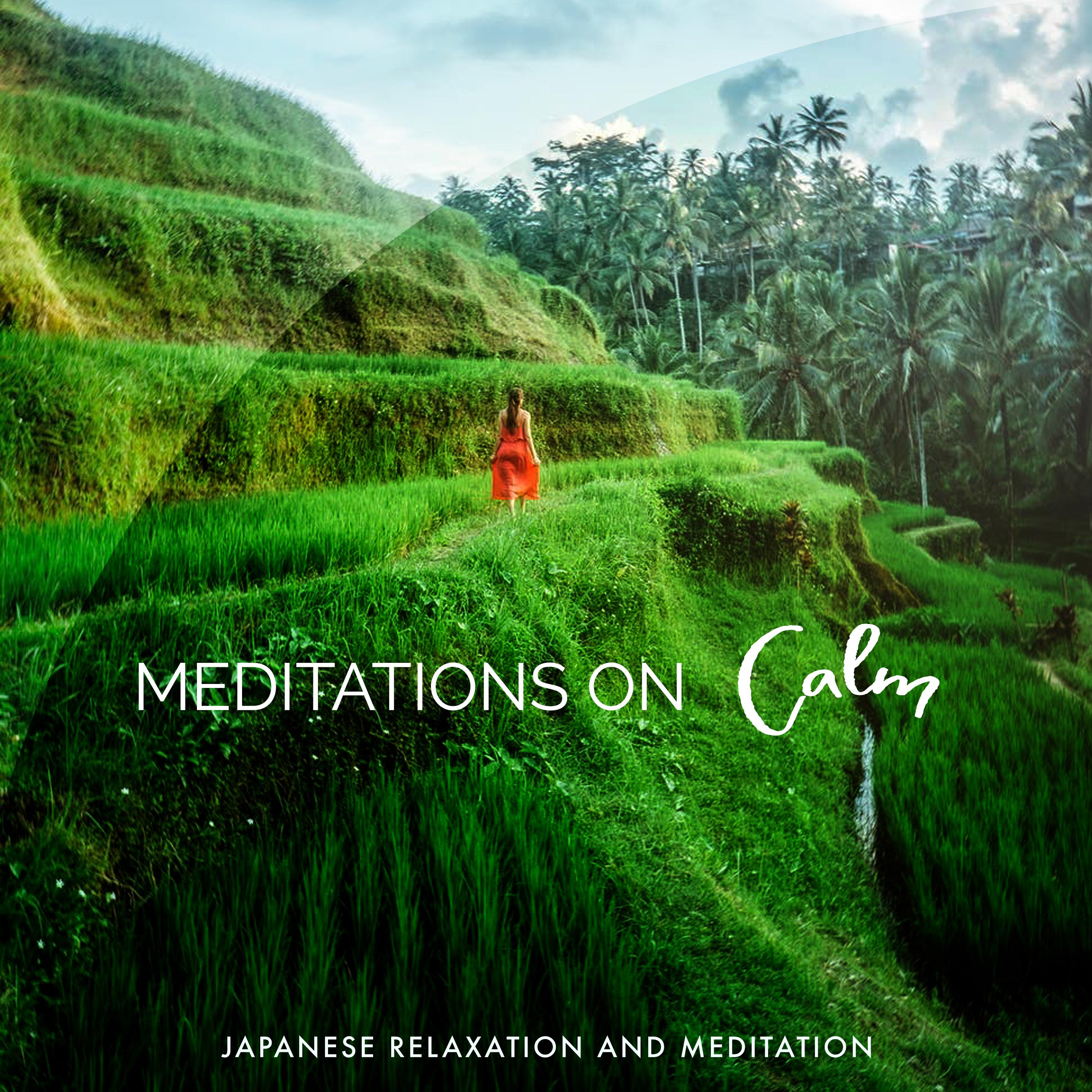 Meditations on Calm