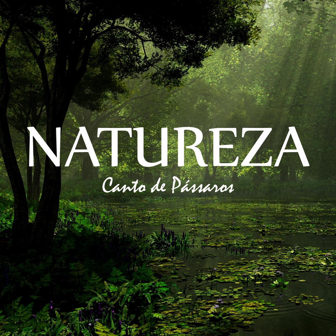 Natureza: Canto de Pa ssaros, Pt. 25