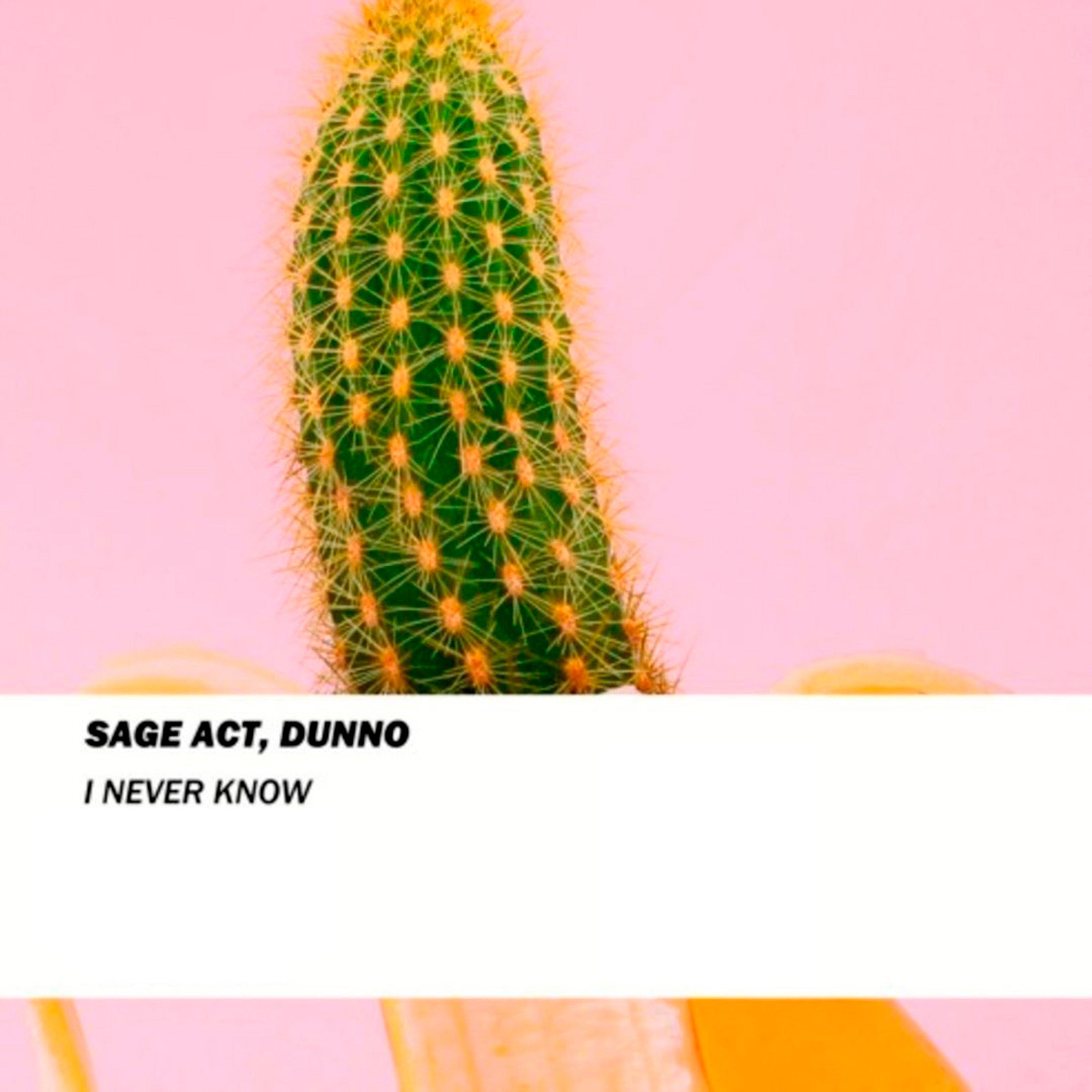 I Never Know