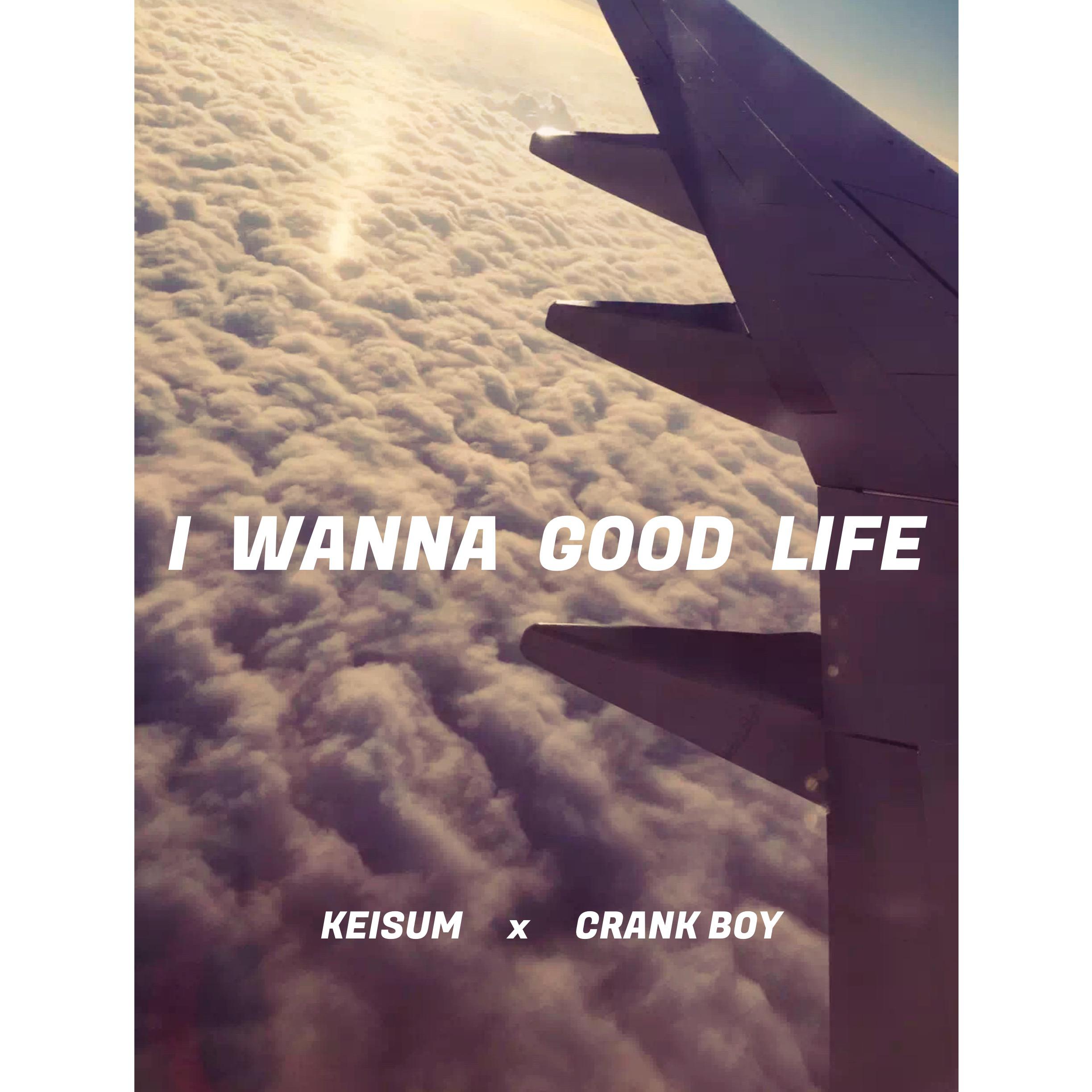 I  wanna  good  life