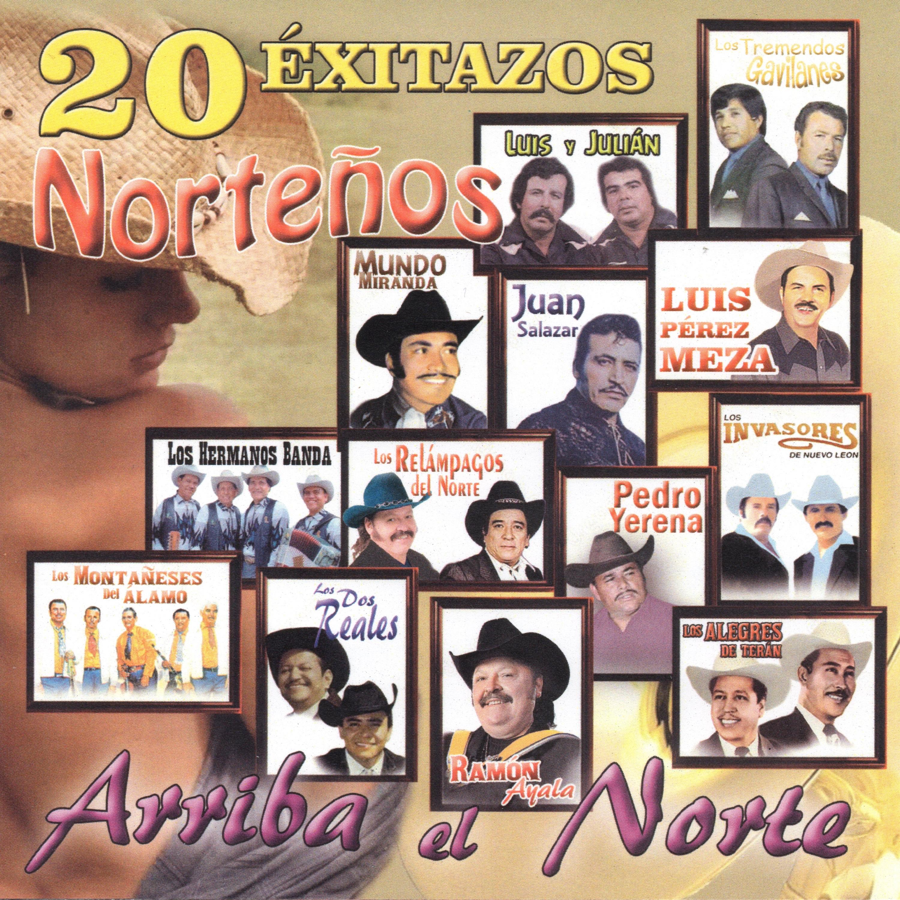 20 Exitazos Nortenos, Vol. 4
