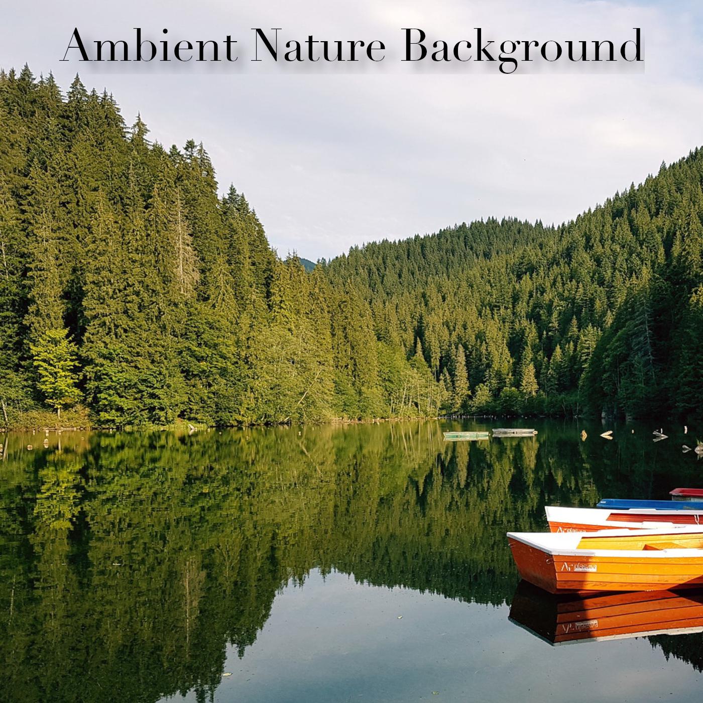 Ambient Nature Background