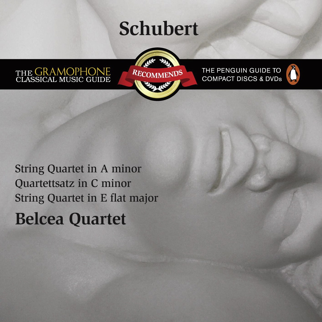 String Quartet No. 13 in A minor D.804 ("Rosamunde"): I.       Allegro ma non troppo